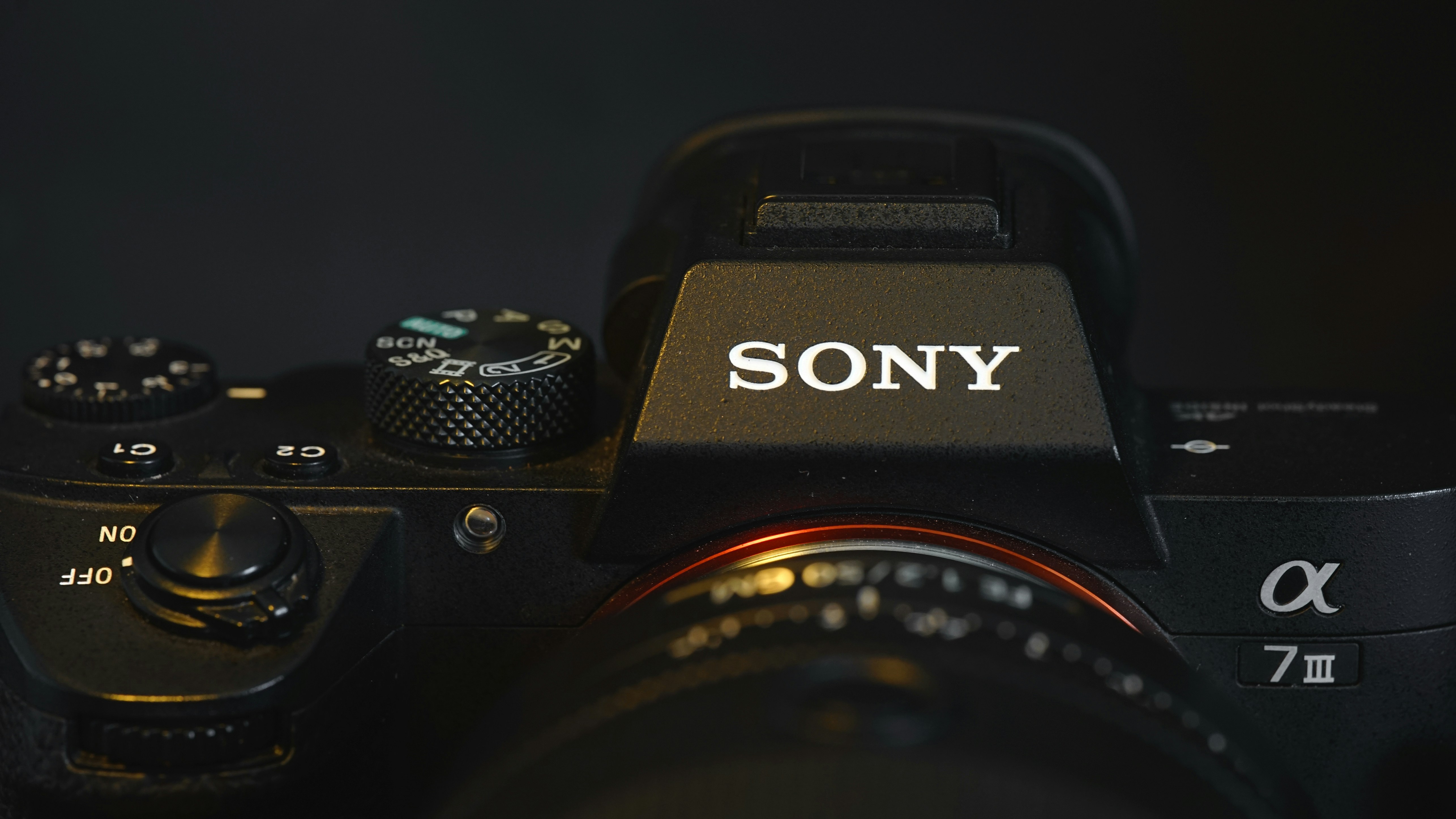 How Personalized Therapy Can Help You Manage MS Better