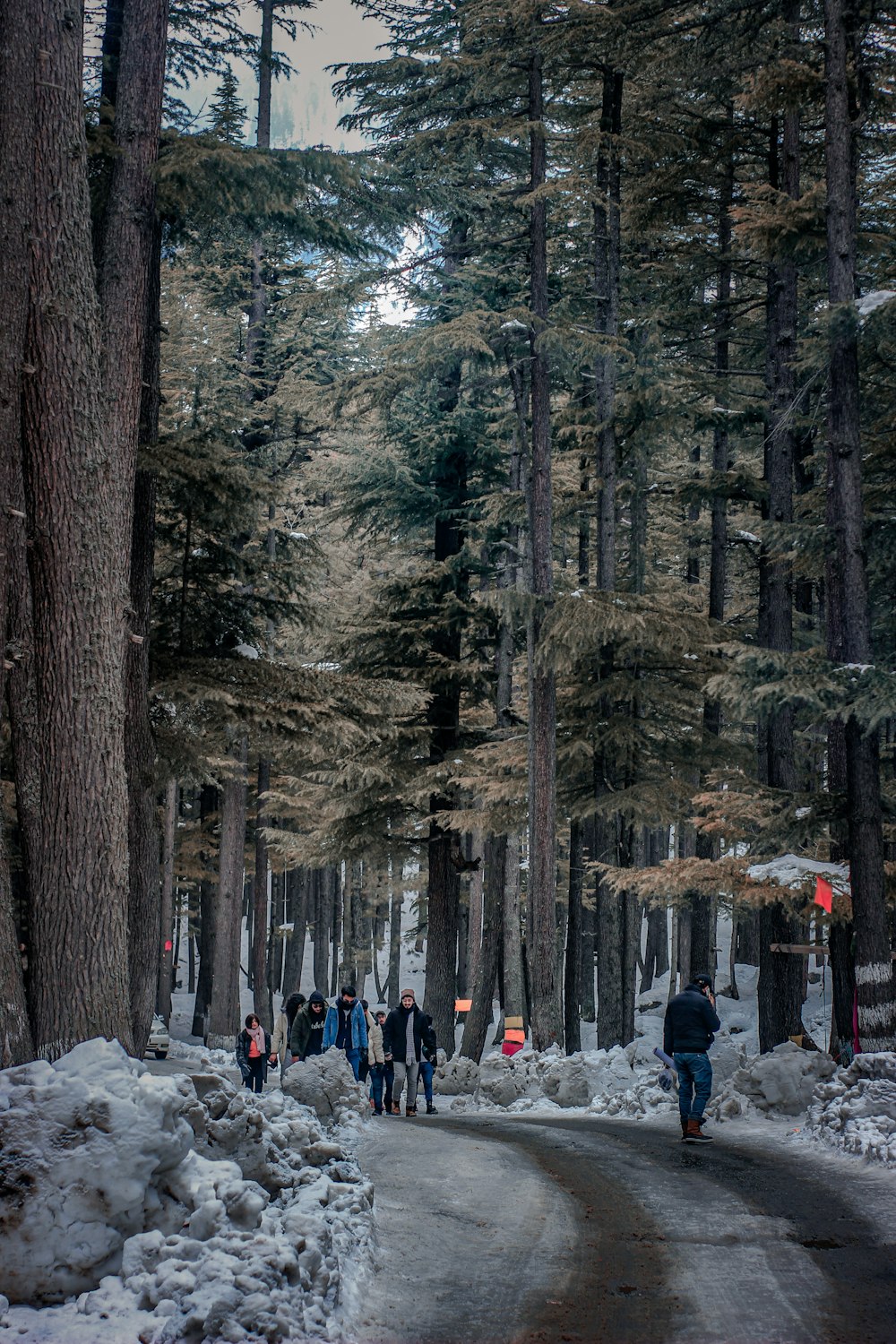 a group of people walking down a snow covered road