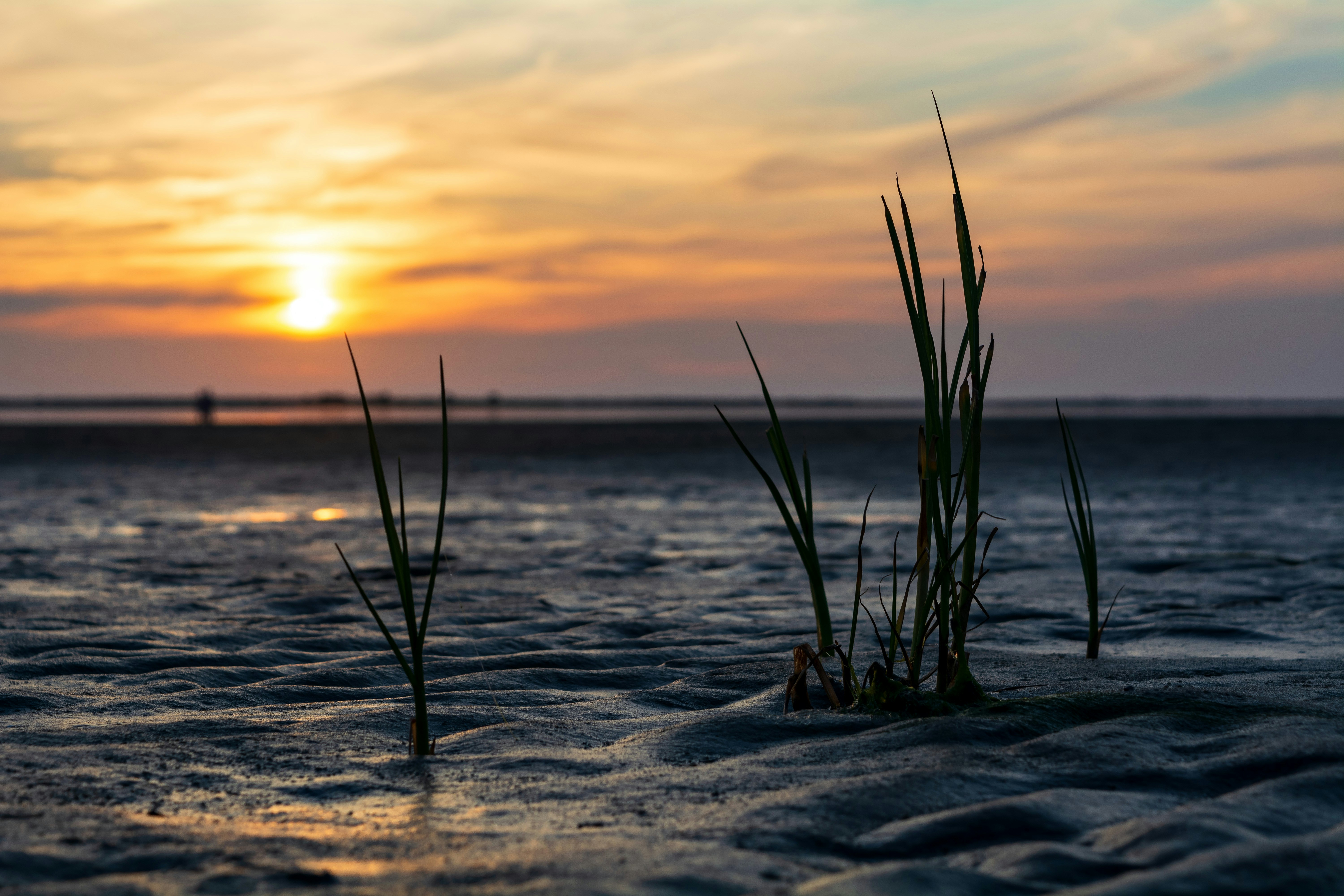 Photo by lazarevmaru