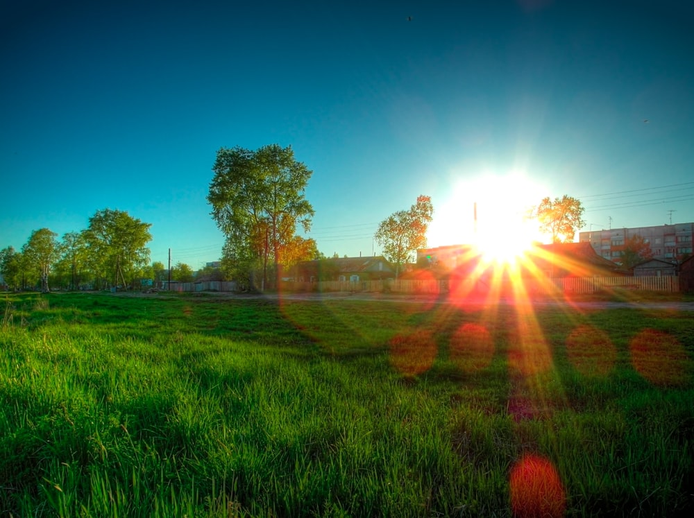 El sol brilla intensamente sobre un campo cubierto de hierba