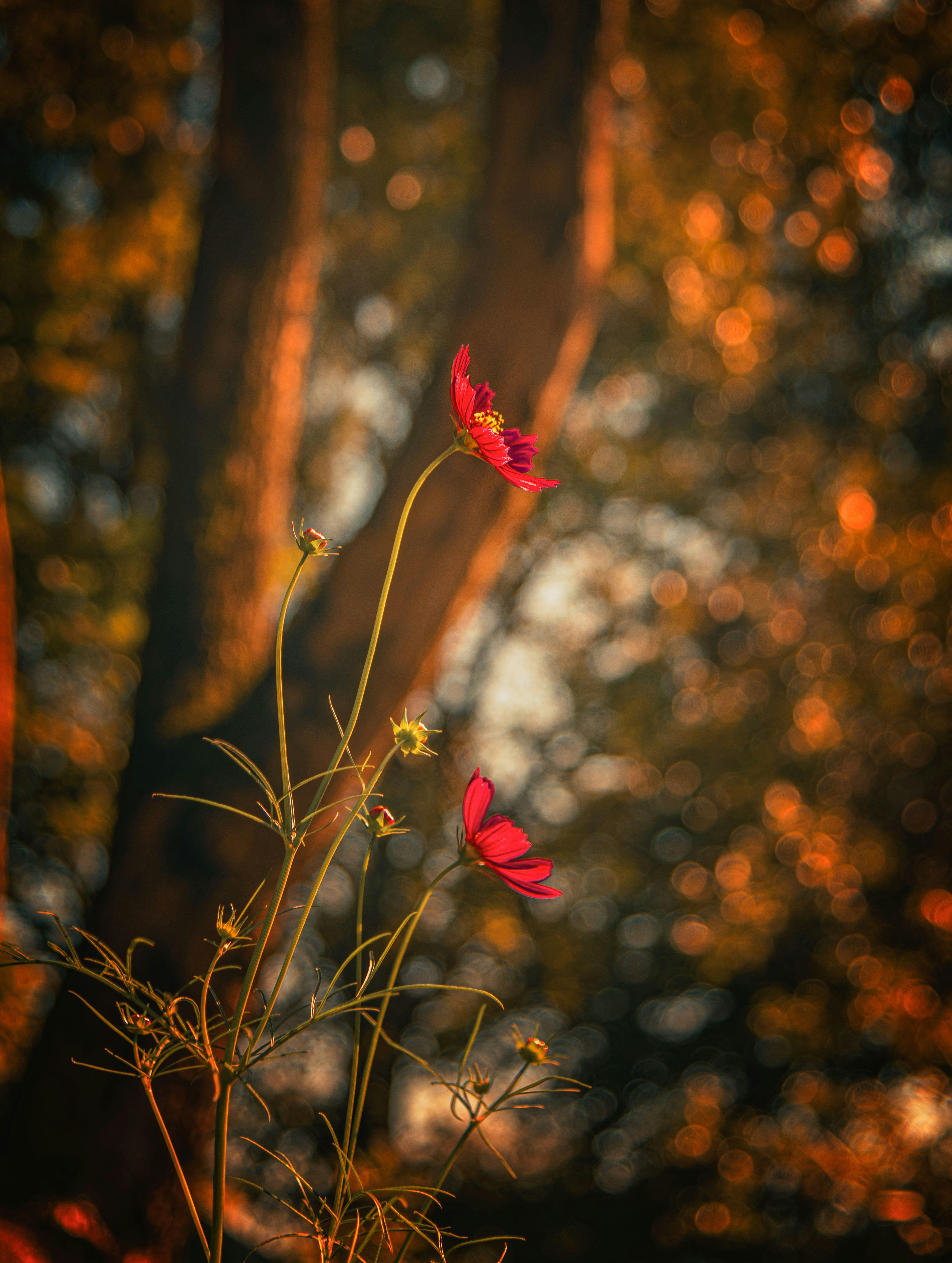 Photo by zhaochen1975