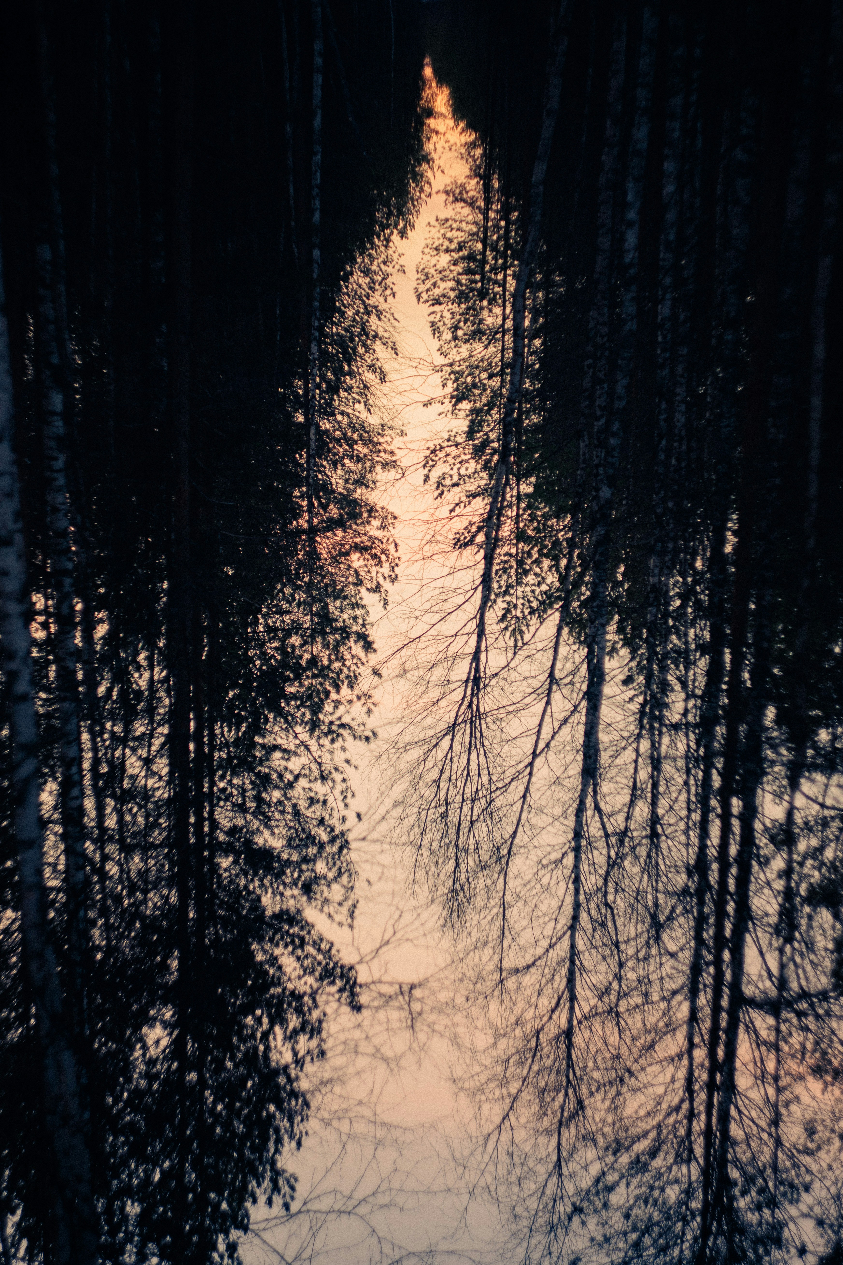 Photo by shklyaevmax