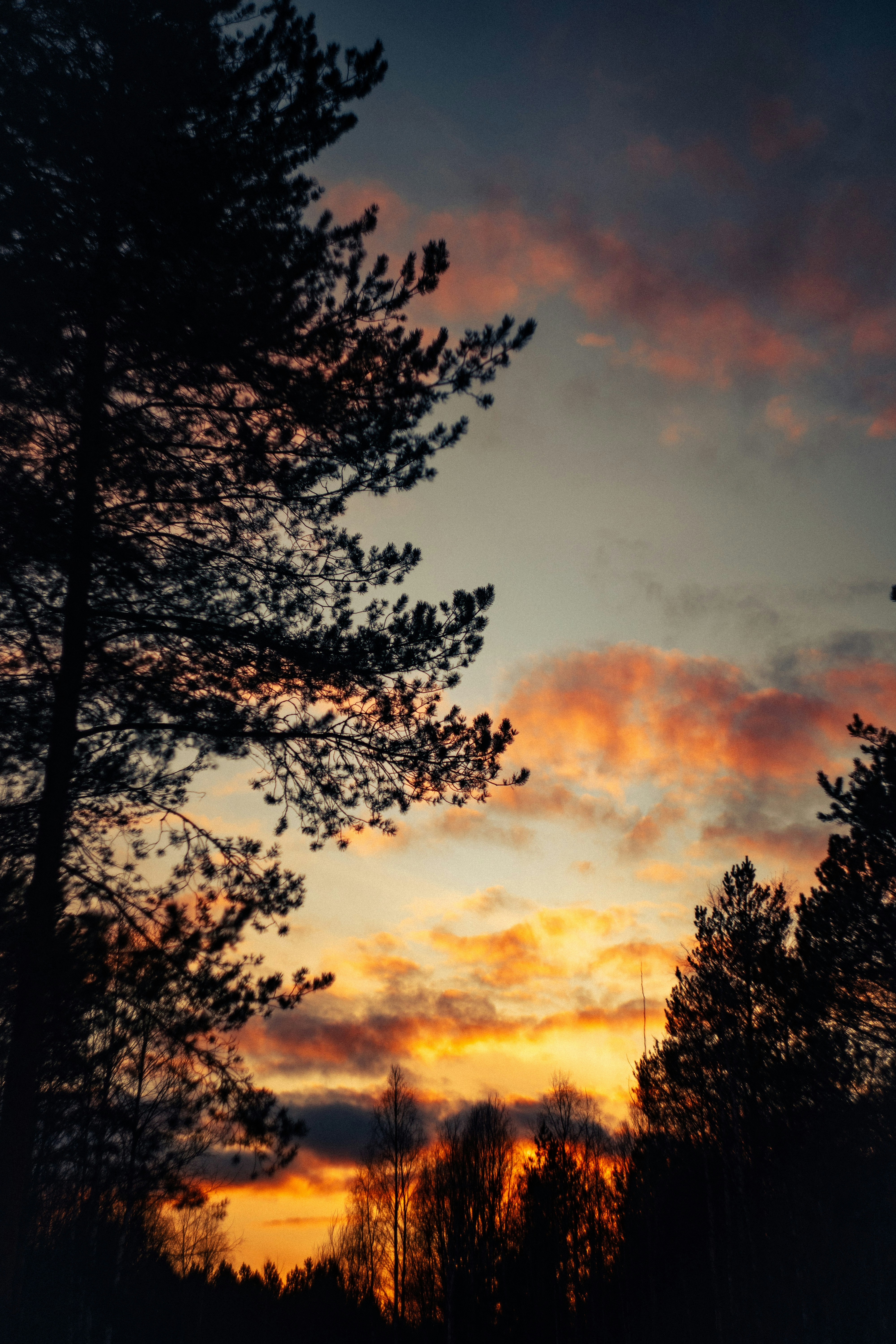 Photo by shklyaevmax