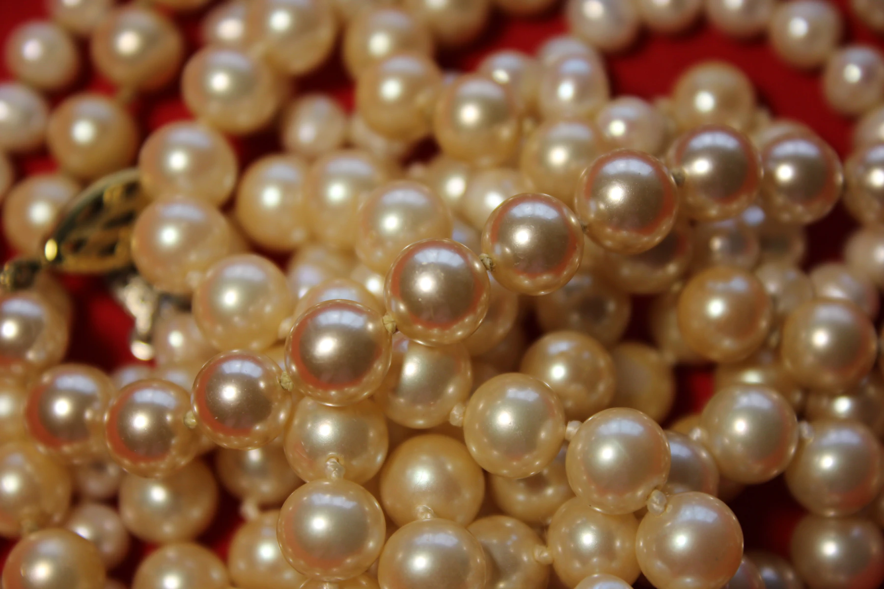 Macro view of warm-toned pearl strands with surface colour and lustre clearly visible