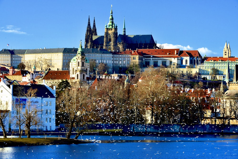 a view of a city from across a river