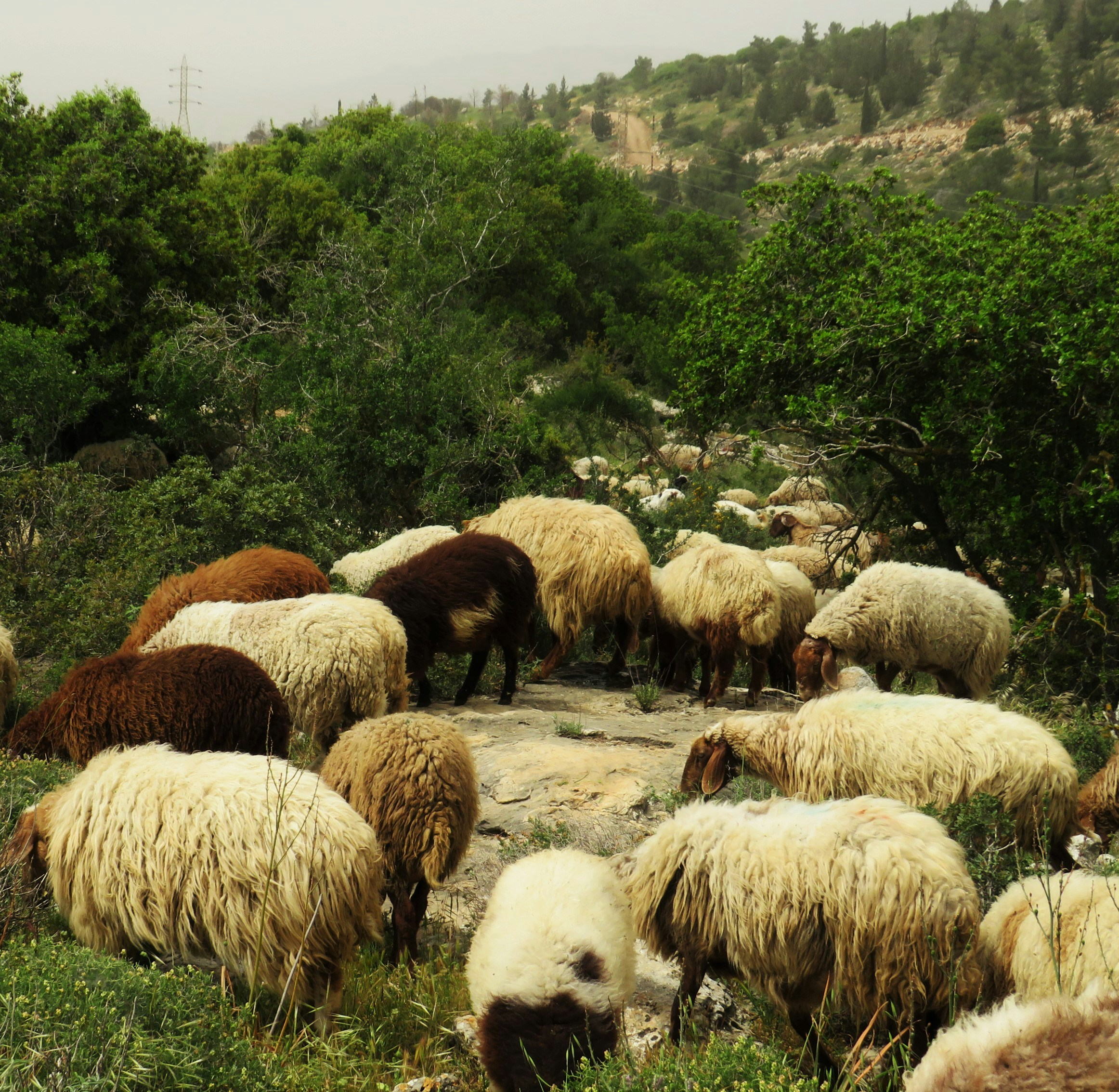 Photo by photo_travel_locki