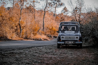 A vintage car parked beside a winding country road lined with autumn trees