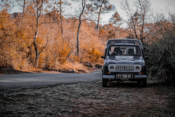 A vintage car parked beside a winding country road lined with autumn trees