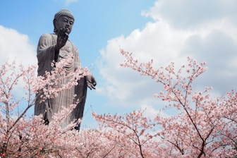 a statue of buddha surrounded by pink flowers