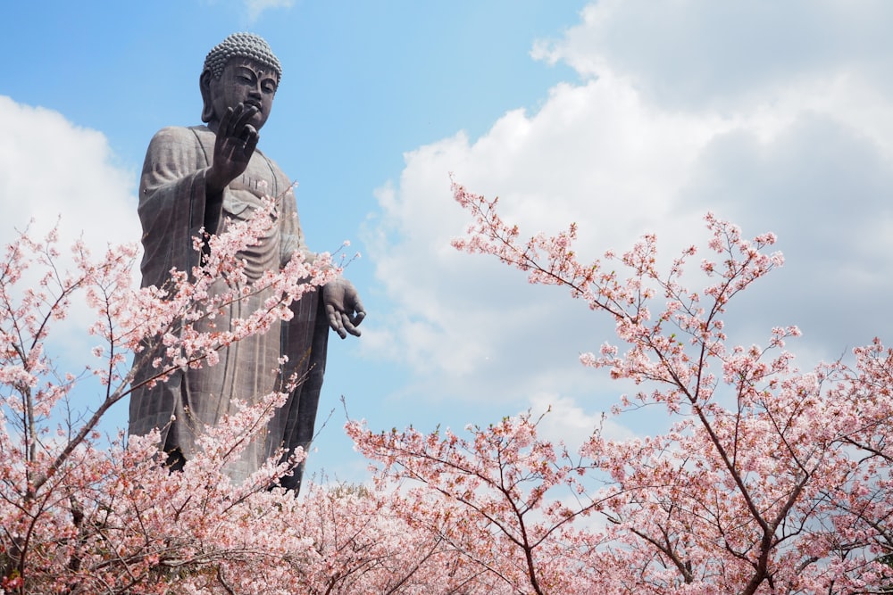 a statue of buddha surrounded by pink flowers