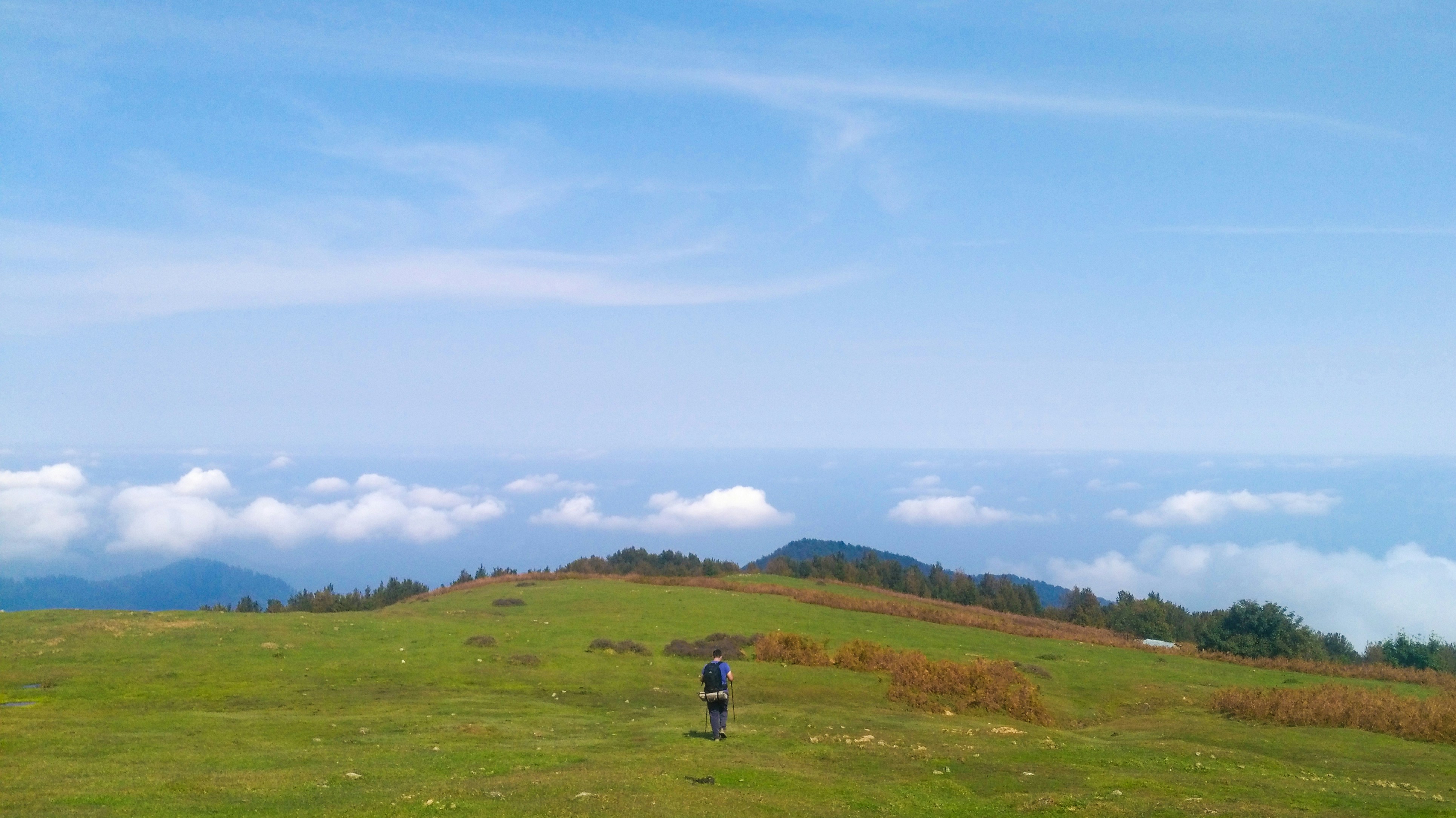 a man standing on top of a lush green hillside