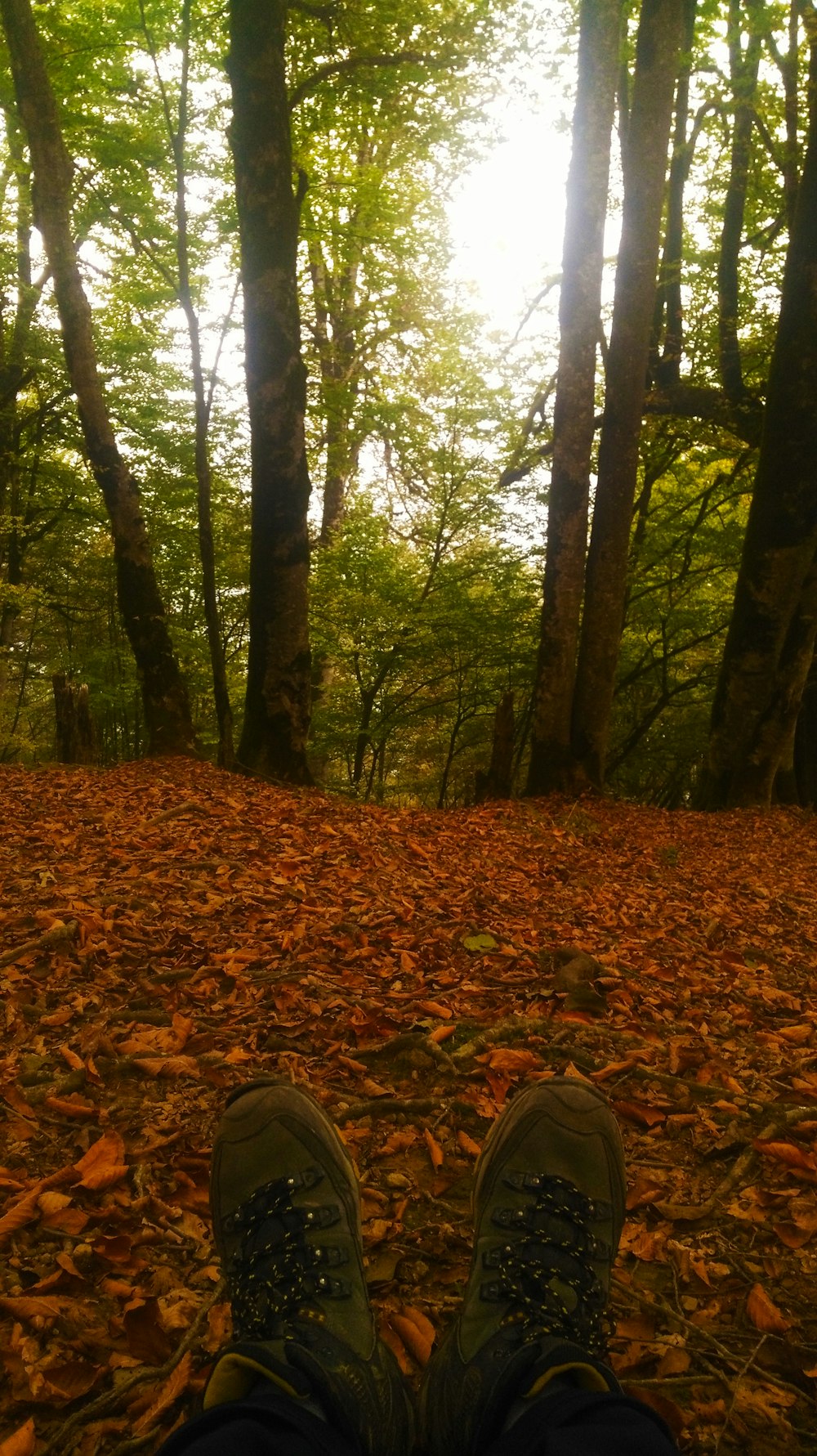 a person's feet in the leaves of a forest
