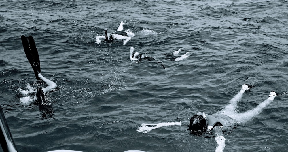 a group of people swimming in a body of water