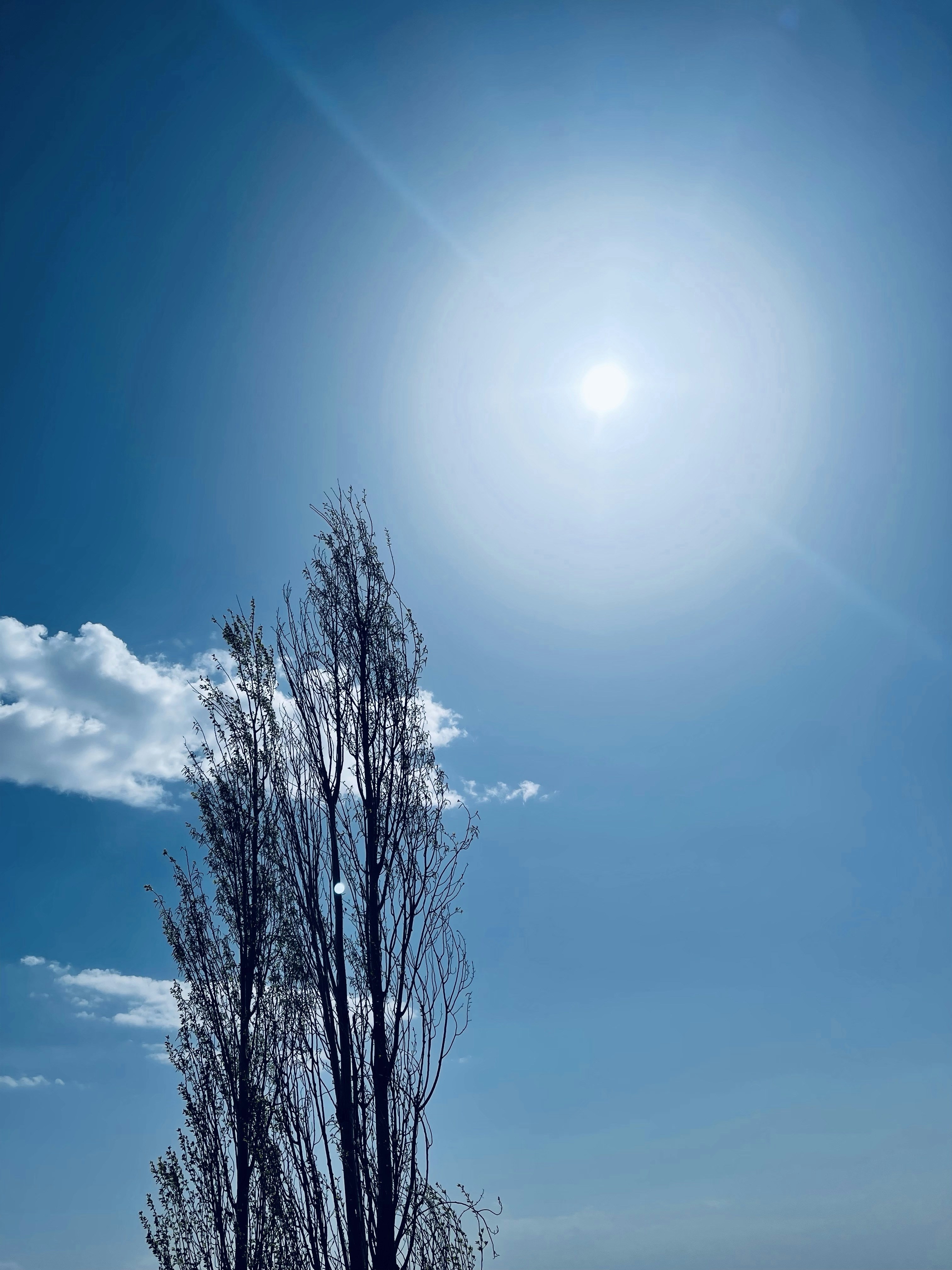 the sun shines brightly on a clear day