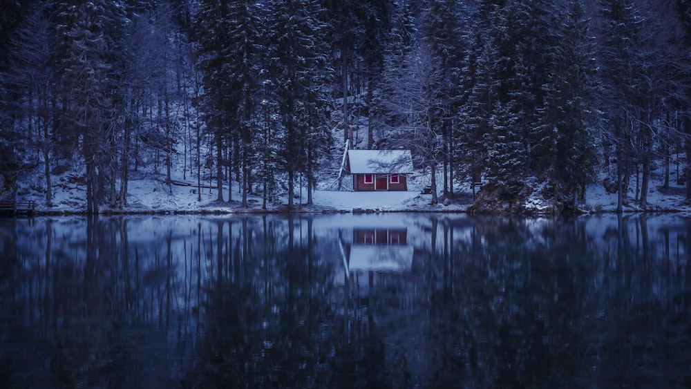 a cabin sits on the shore of a lake surrounded by trees