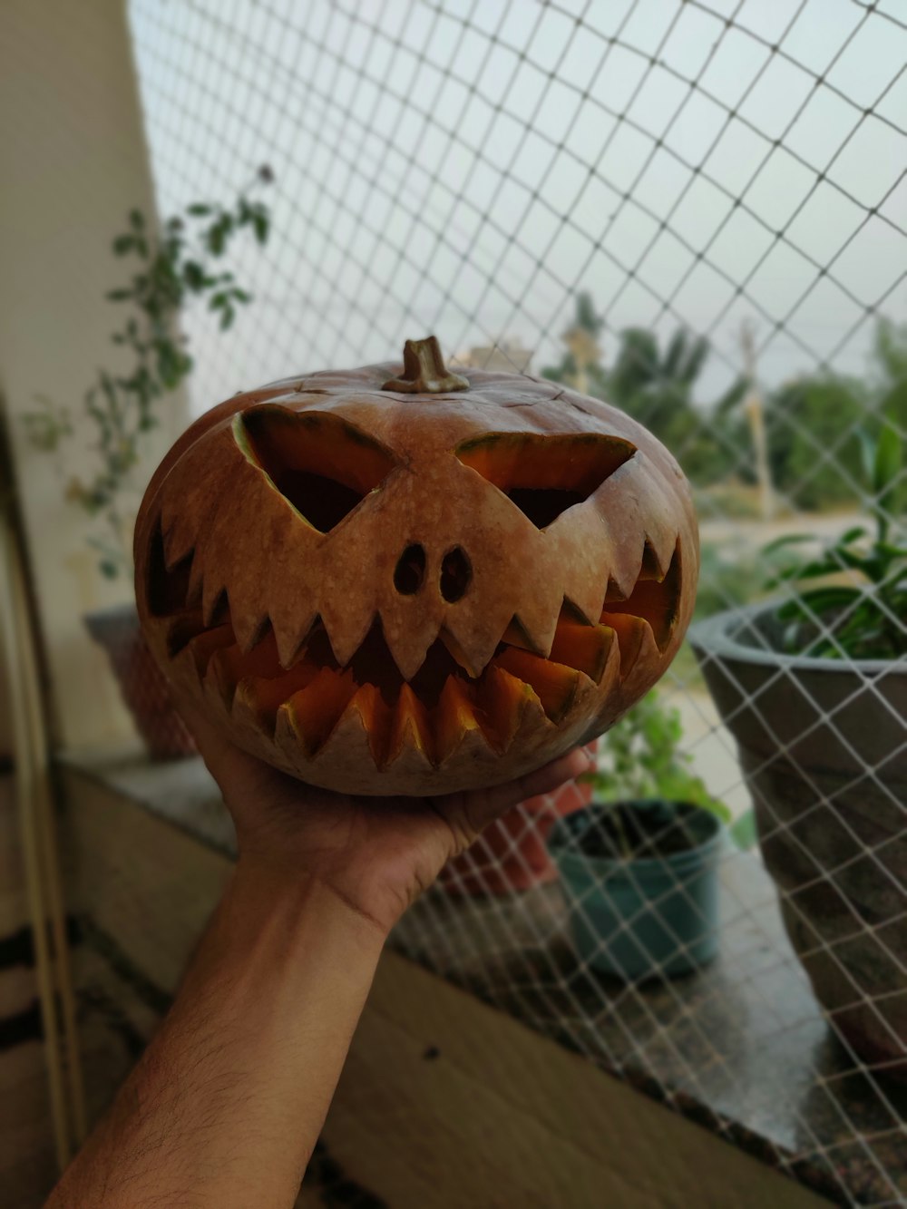 a person holding a carved pumpkin in their hand