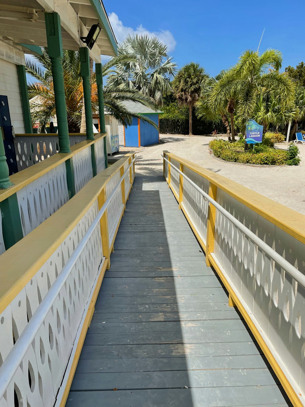 a walkway leading to a beach with palm trees