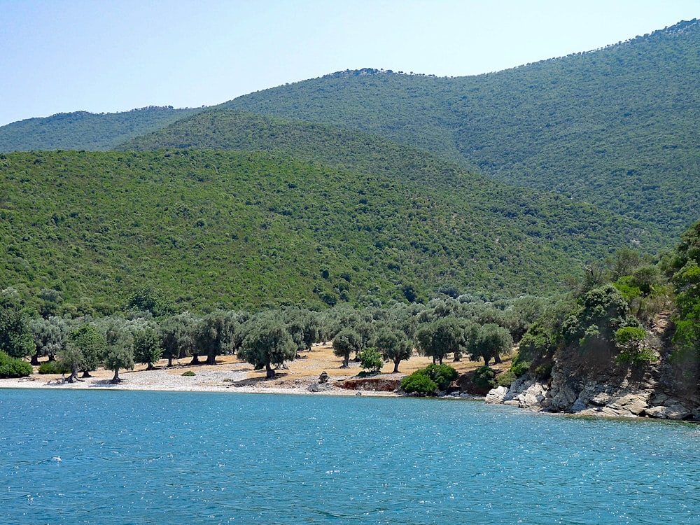 a body of water with a mountain in the background