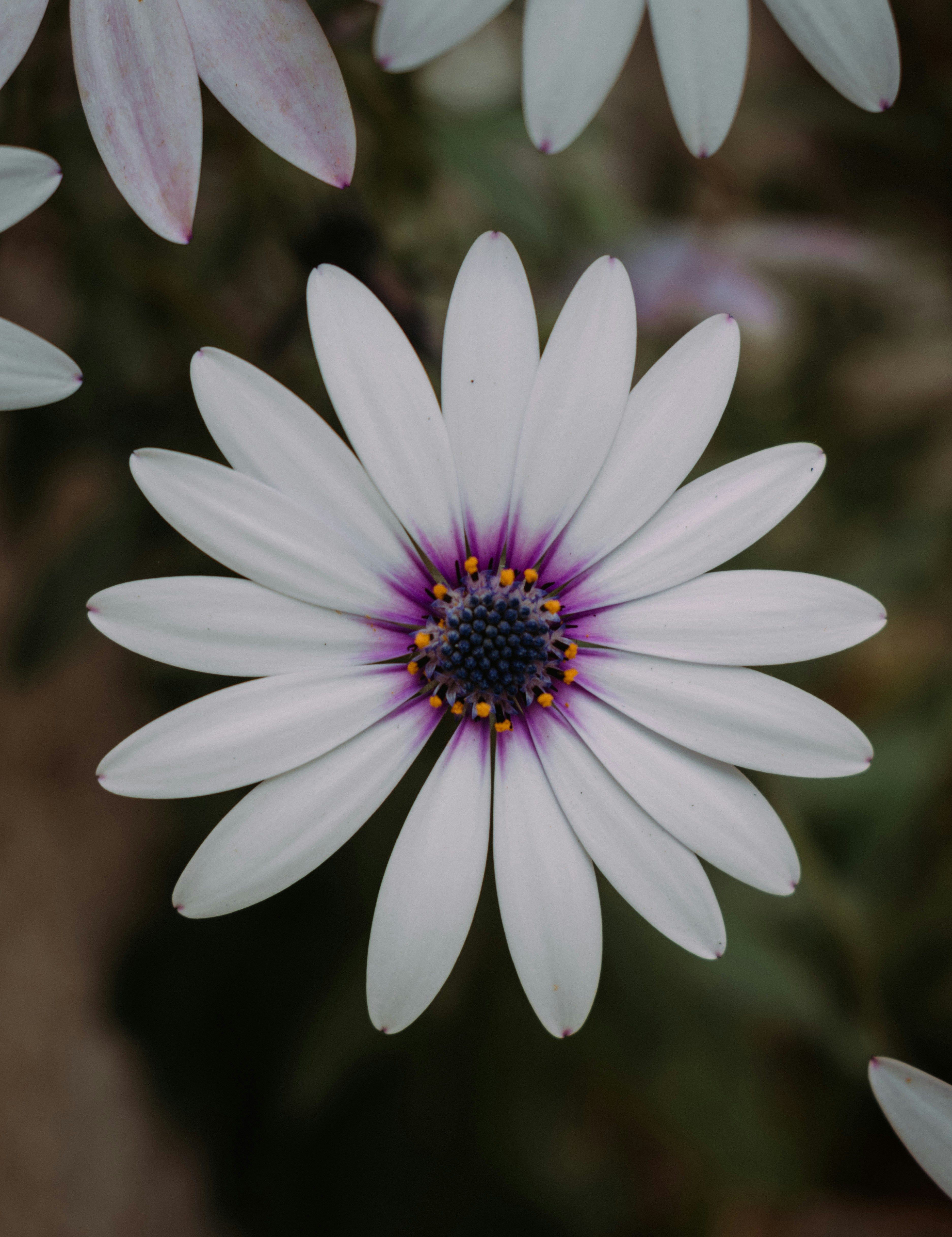 Photo by bilal_ayadi