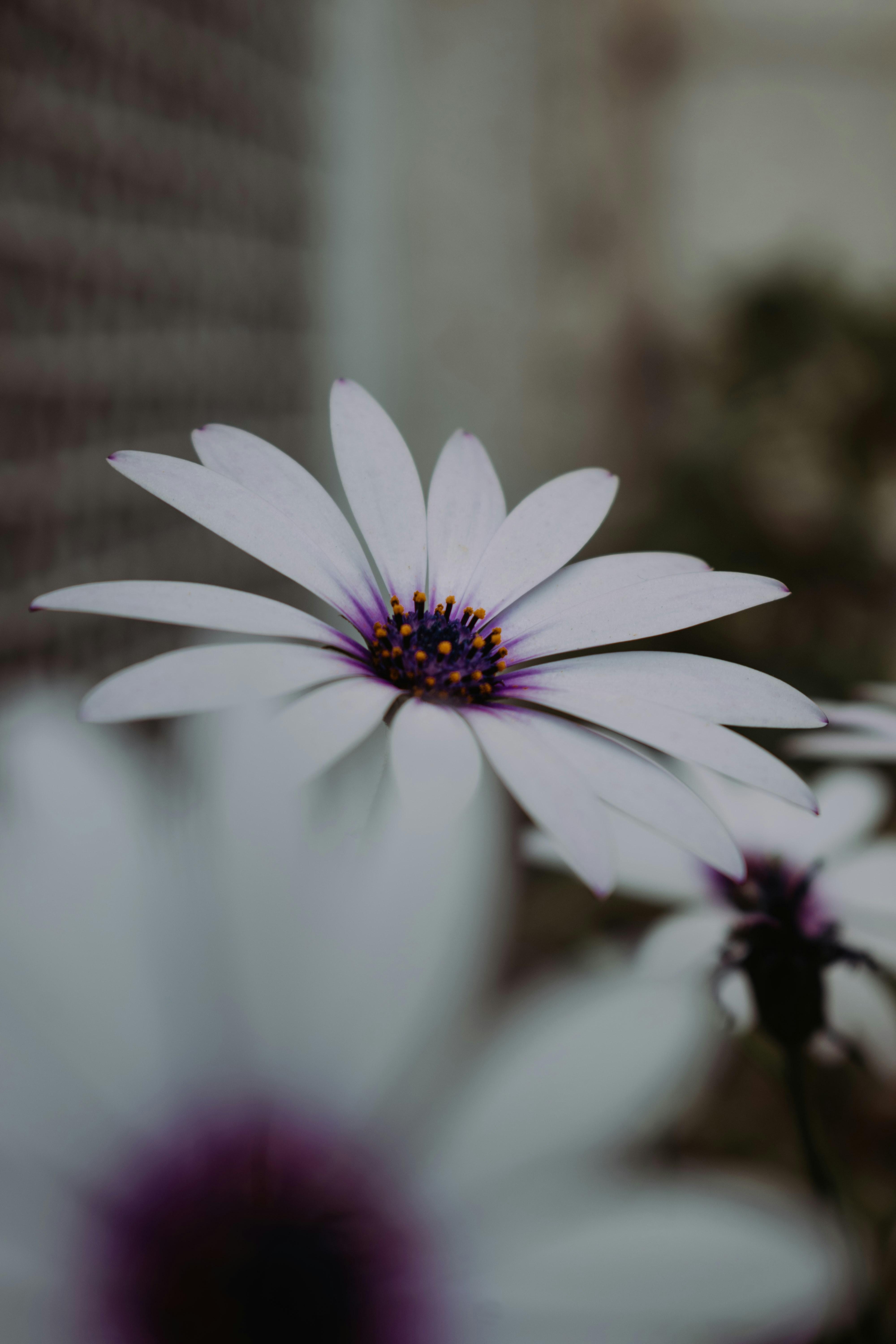 Photo by bilal_ayadi