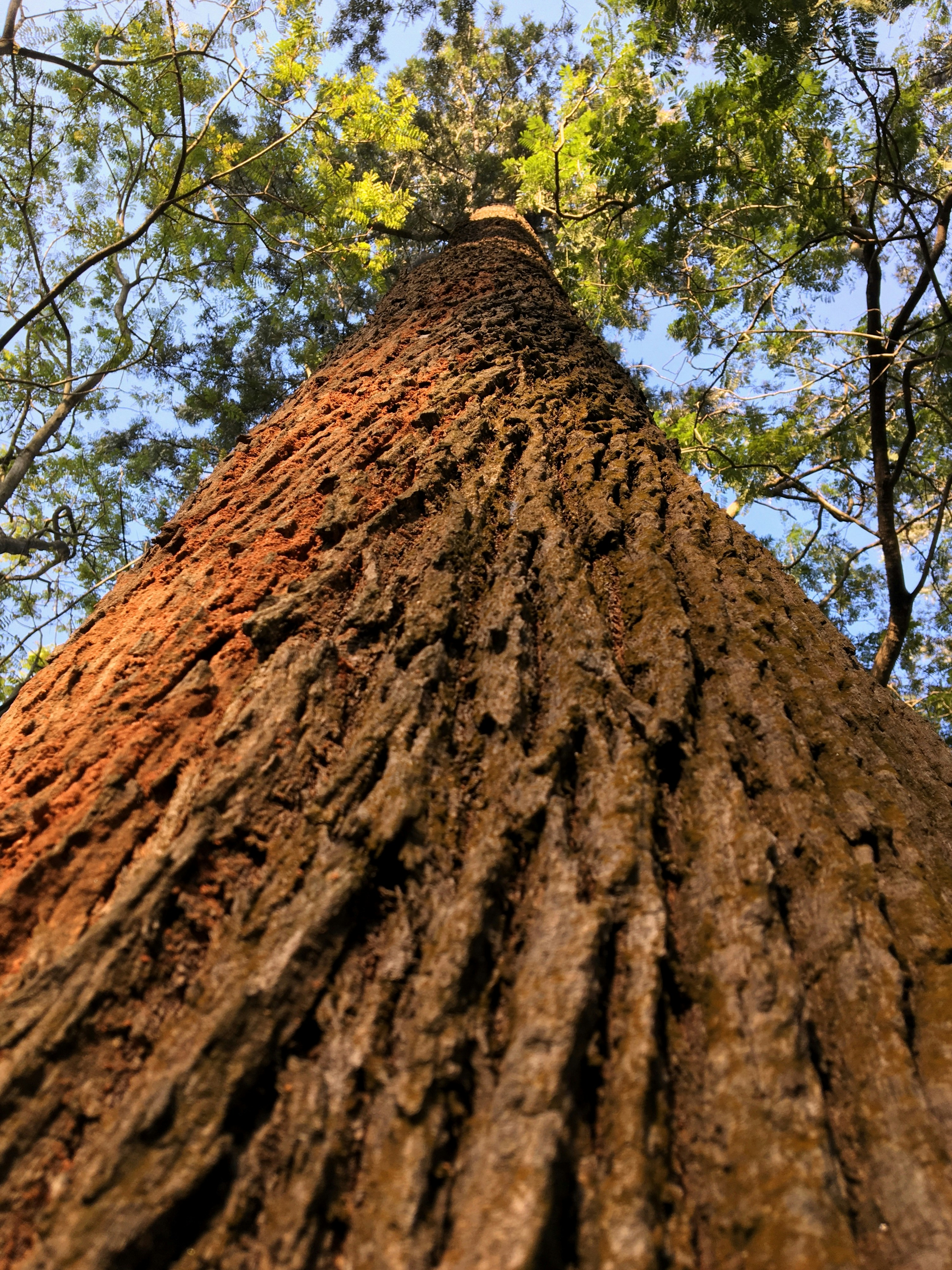 Photo by mithilgirish