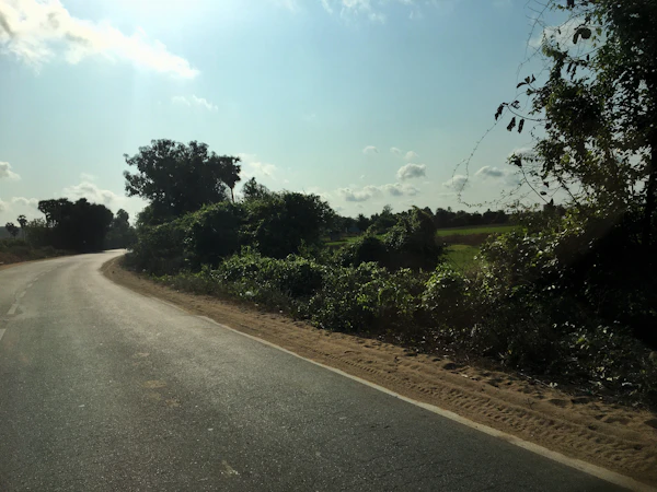 A rural road in the morning sun