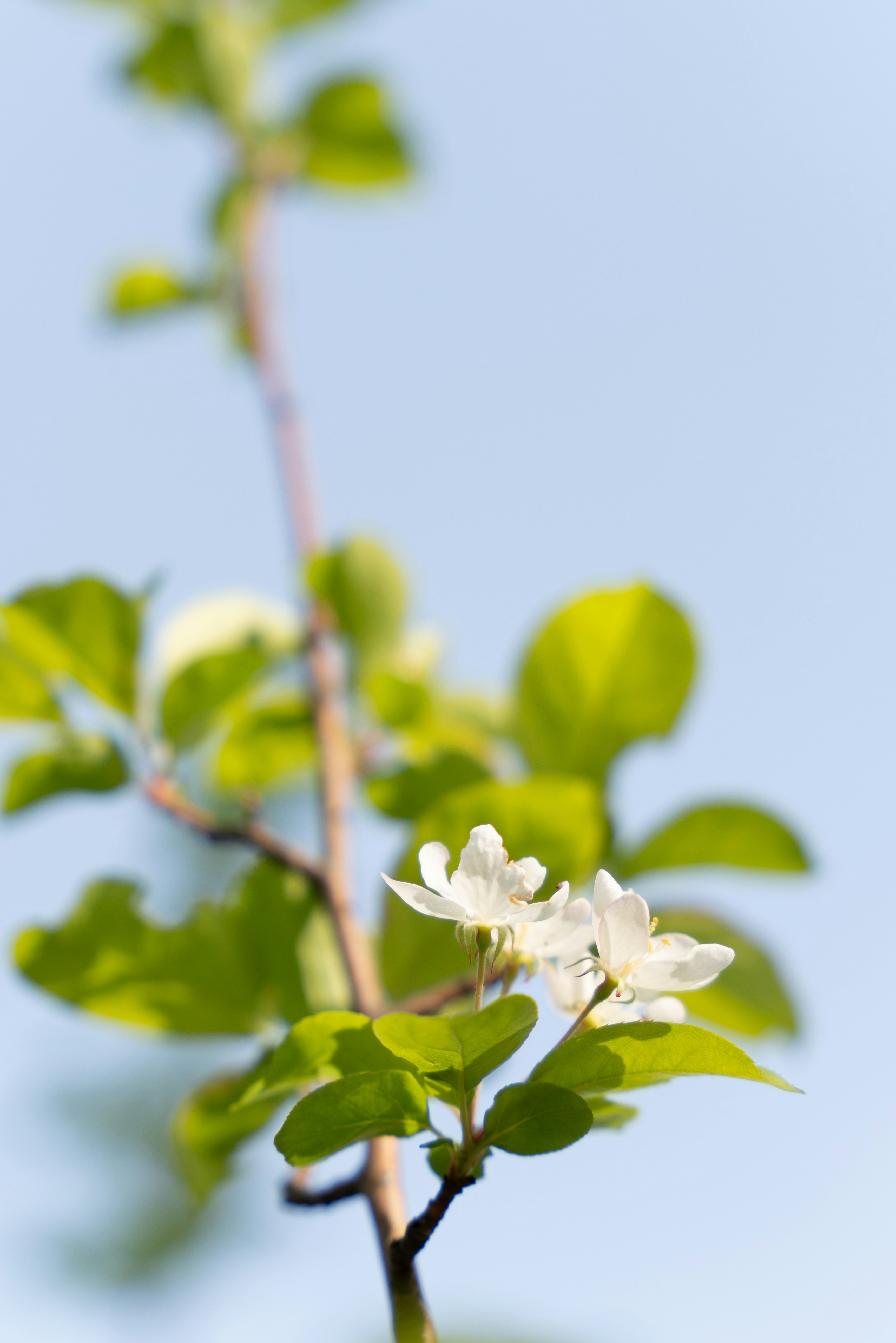 Photo by dongcheng