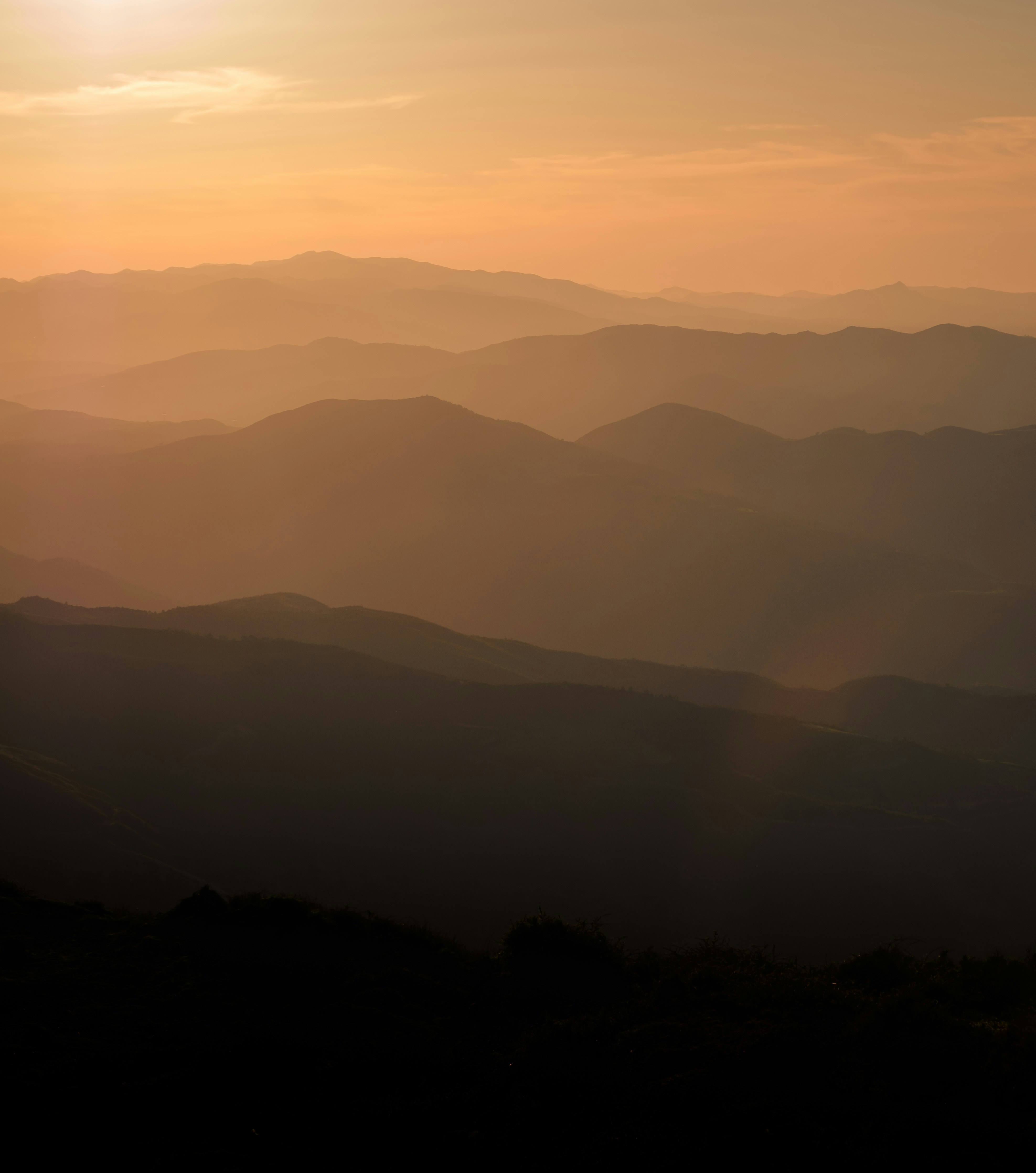 Photo by fethibenattallah