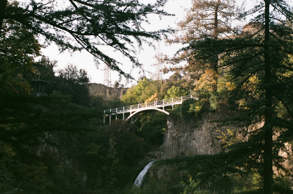 a bridge over a waterfall in a forest