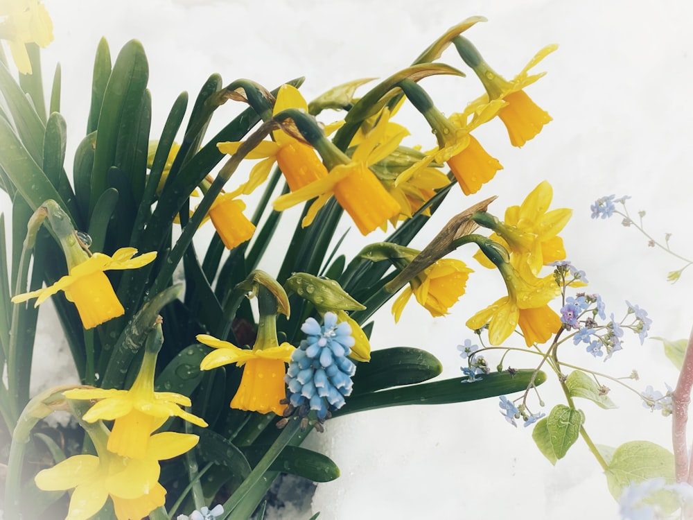 a bouquet of yellow and blue flowers in the snow