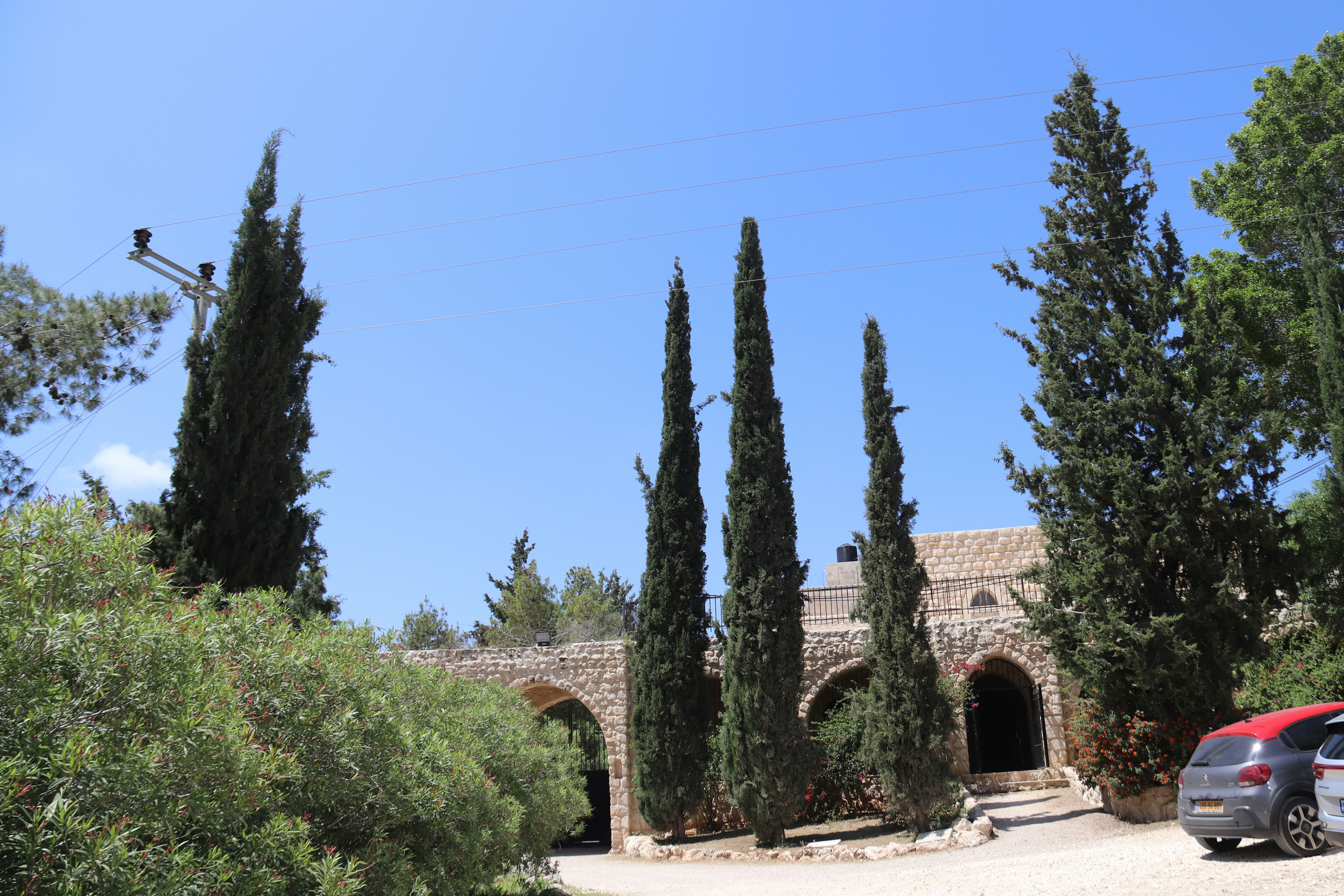 Photo by shalevcohen