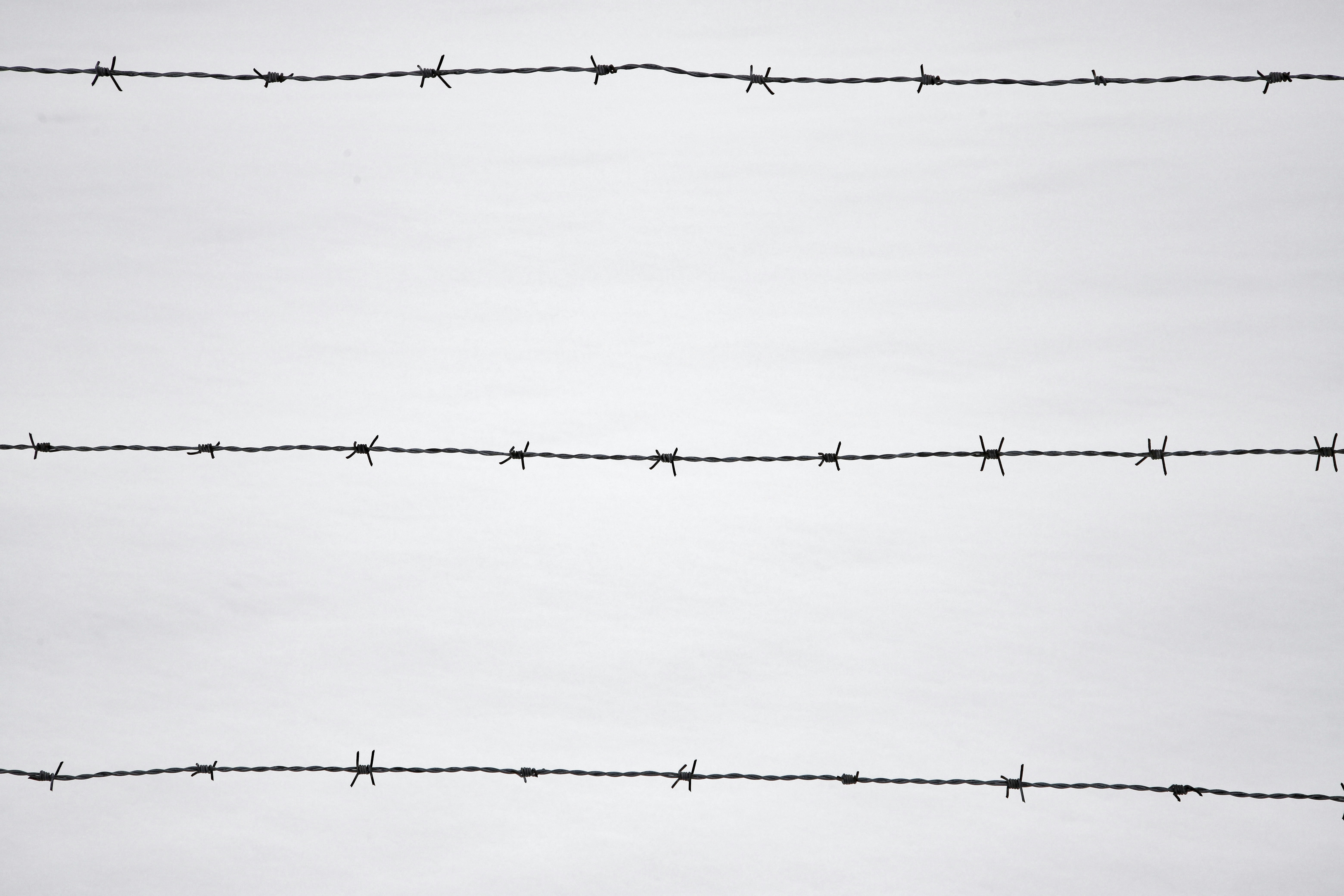 A historical photo of refugees crossing the border into Assam during the 1971 Bangladesh Liberation War, depicting a crowded boat or a group walking.