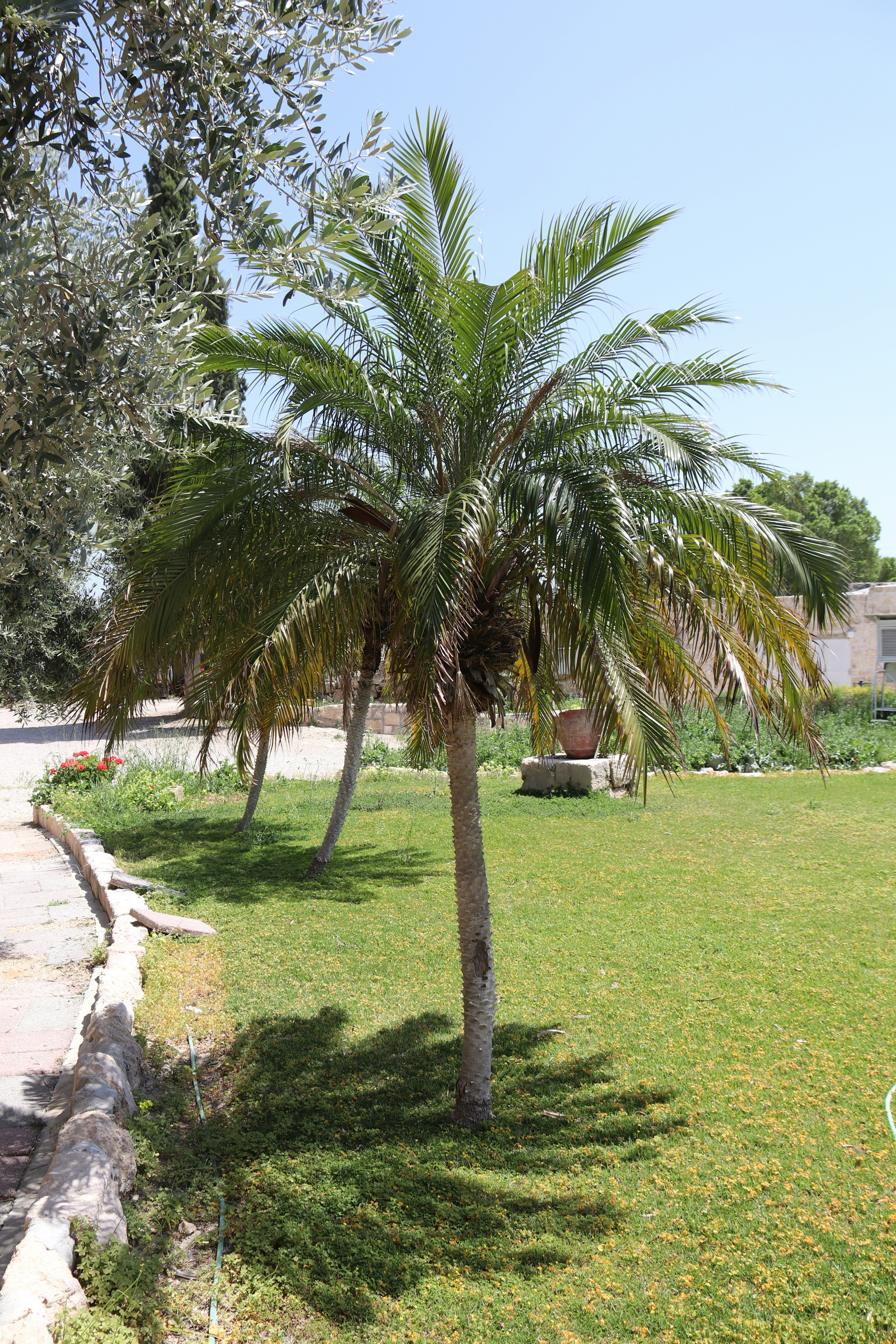 Photo by shalevcohen