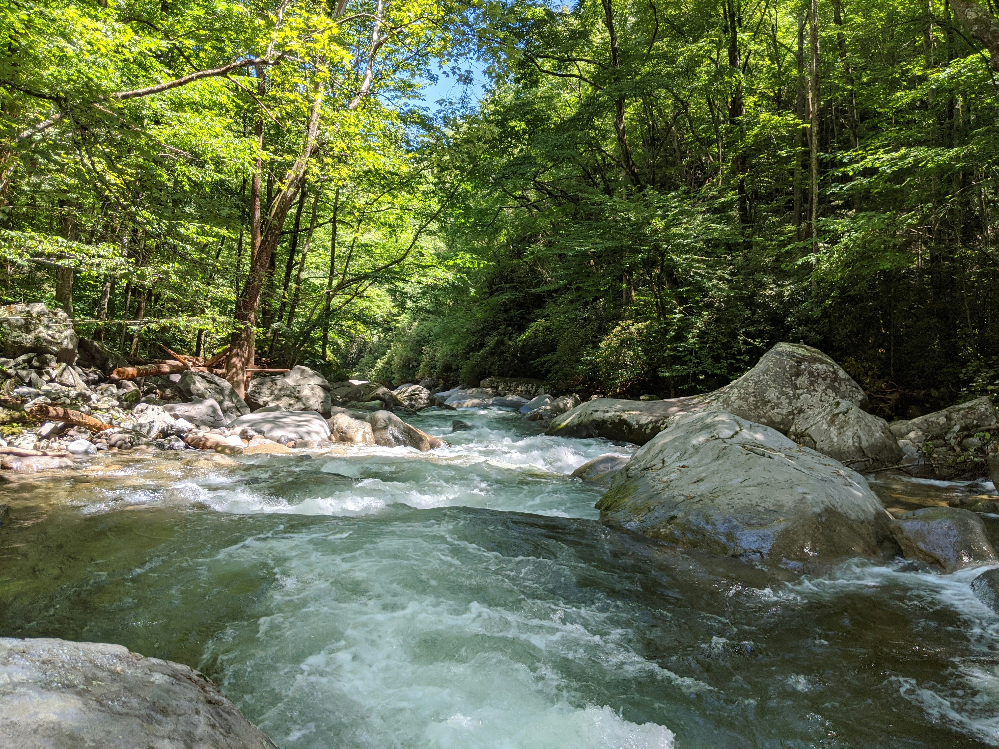 Photo by kevinuulong