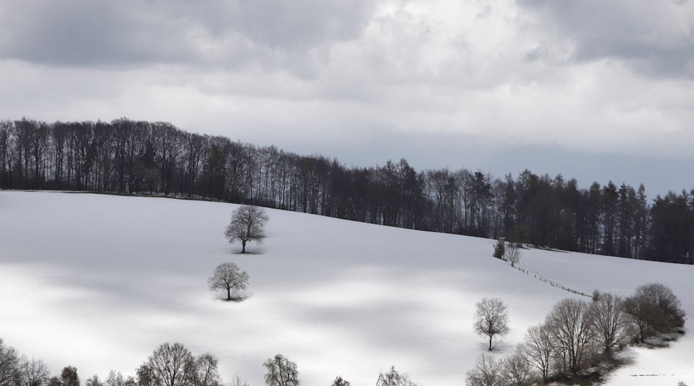 a snow covered field with trees on a cloudy day