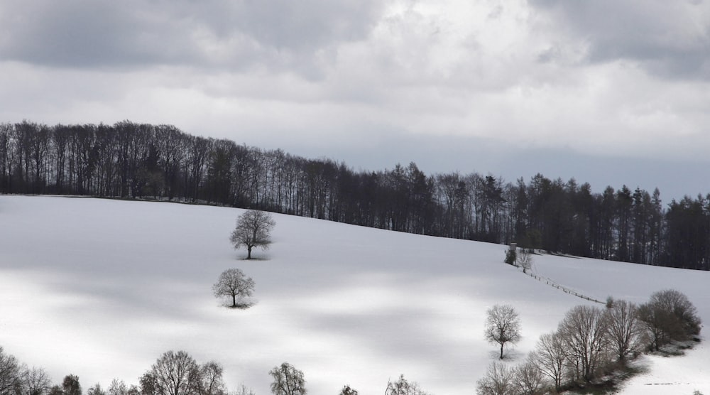 Un campo cubierto de nieve con árboles en un día nublado