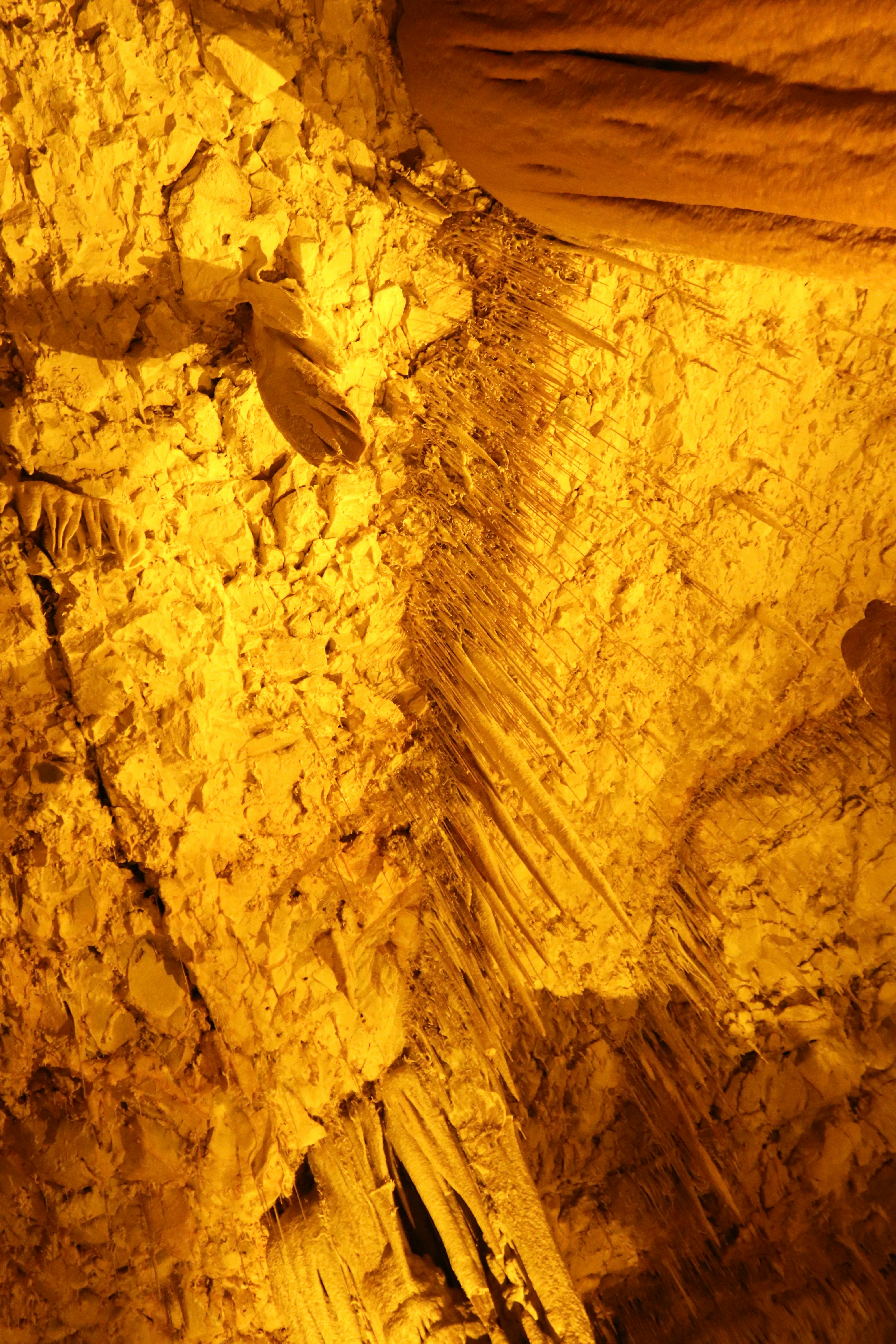 Photo by shalevcohen