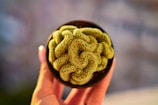 A hand holding a small, brain-shaped cactus plant; the plant's surface texture is convoluted, resembling brain folds, and it is contained in a dark pot. The background is softly blurred, creating a bokeh effect, with muted colors.