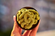 A hand holding a small, brain-shaped cactus plant; the plant's surface texture is convoluted, resembling brain folds, and it is contained in a dark pot. The background is softly blurred, creating a bokeh effect, with muted colors.