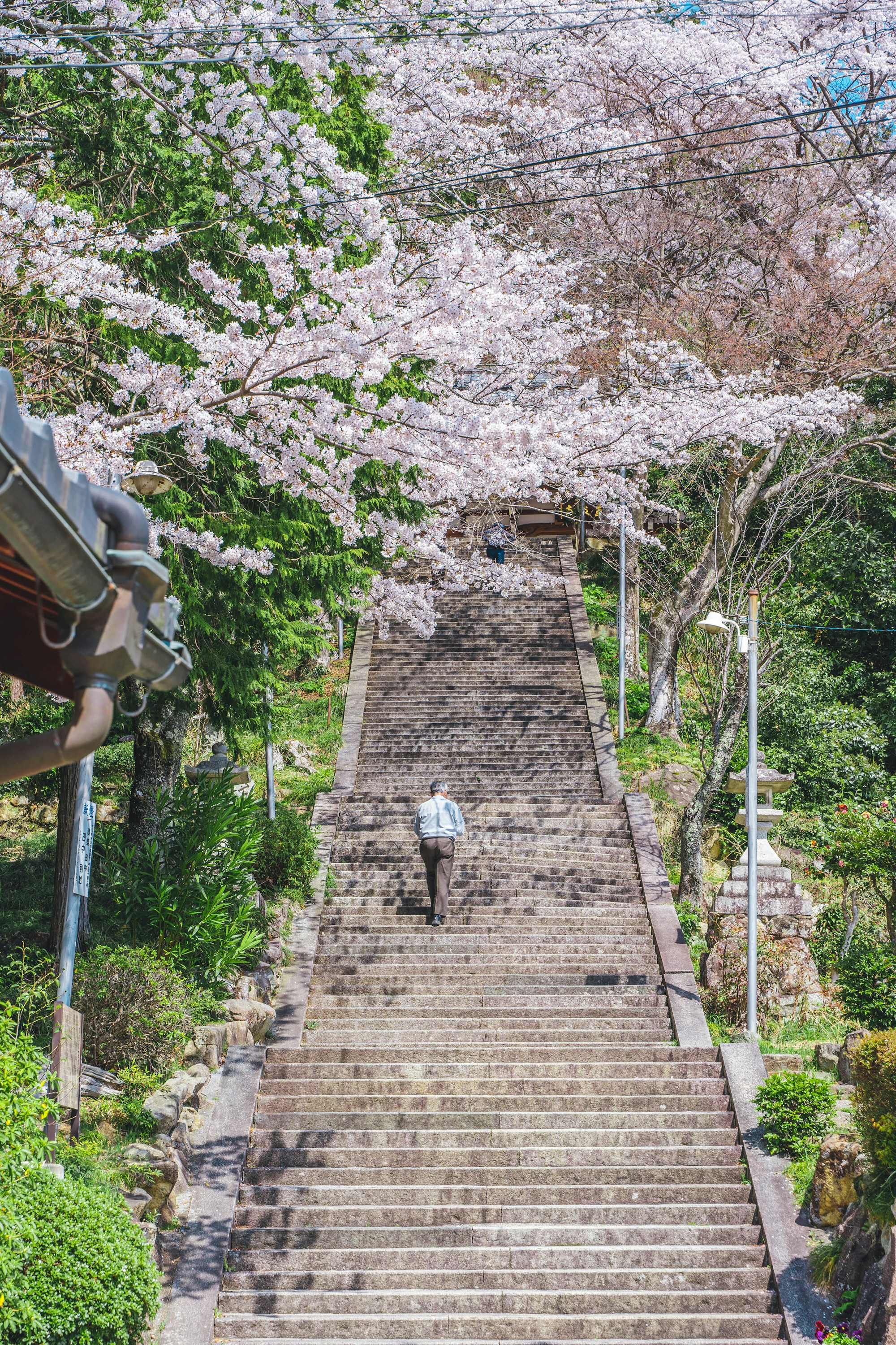 Shiga: Exploring Local Culture & Traditions