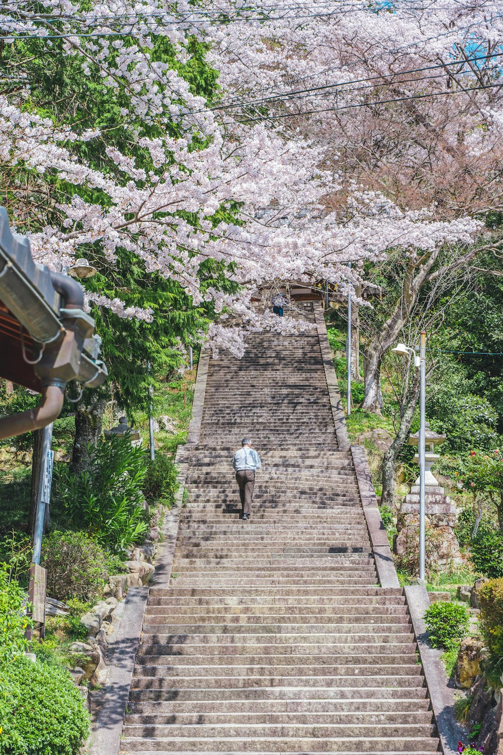 a man walking down a flight of stairs