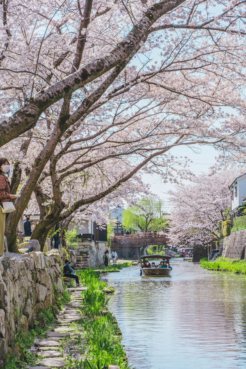 a man standing on a stone wall next to a river