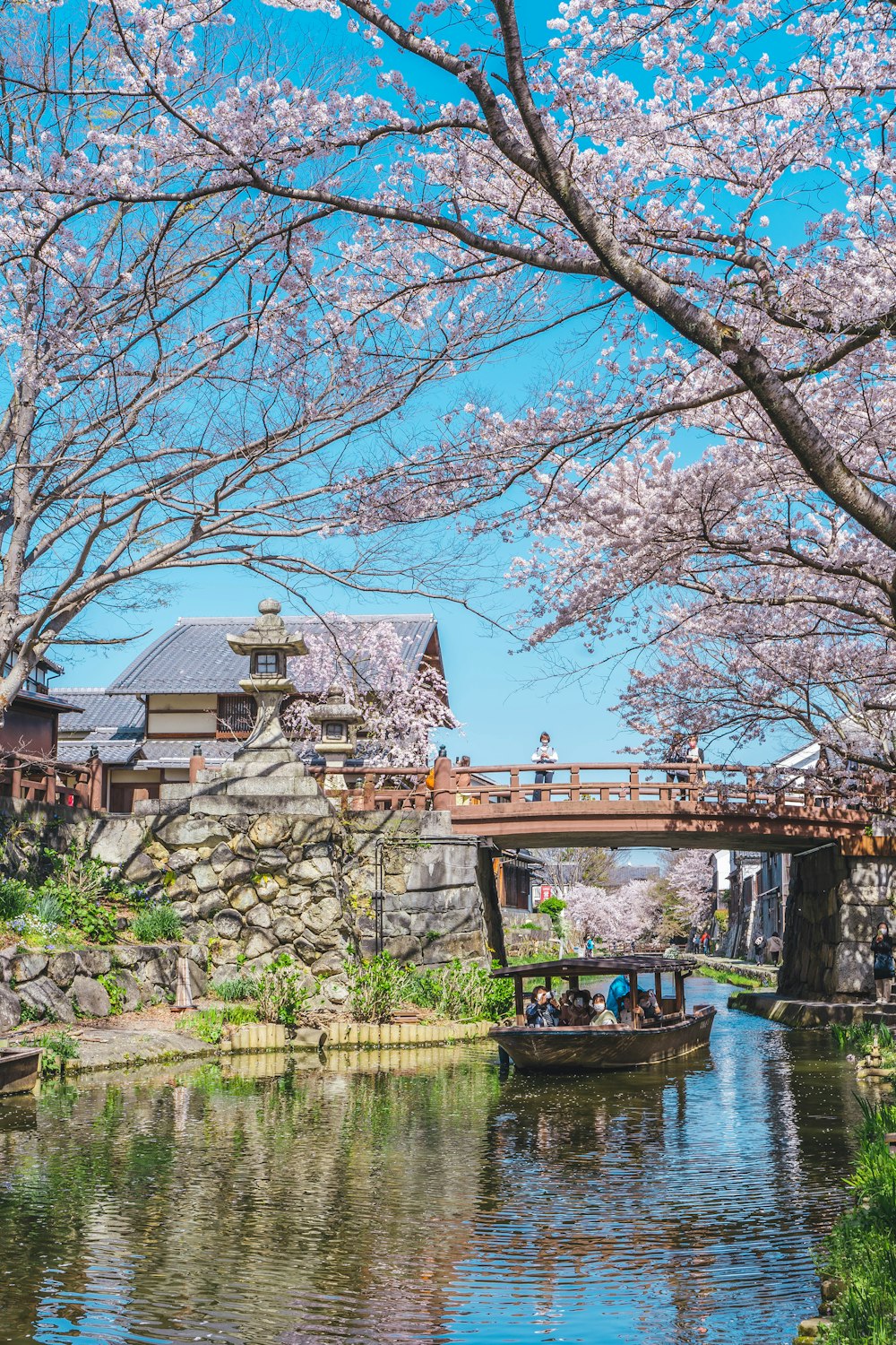 a bridge over a body of water surrounded by trees