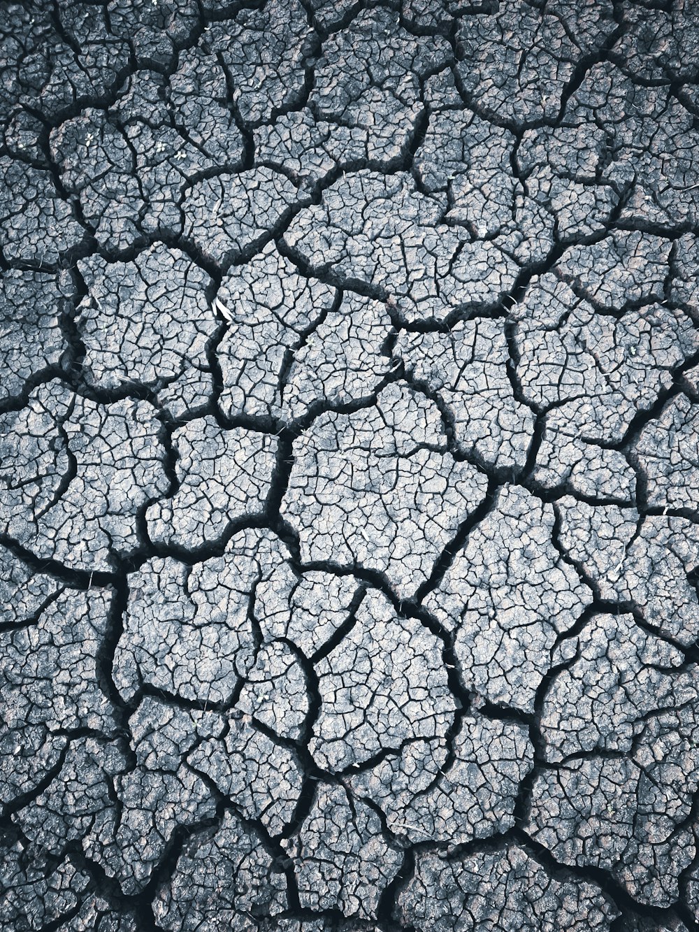 a close up of the cracks in the ground