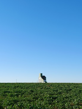 a house in the middle of a green field