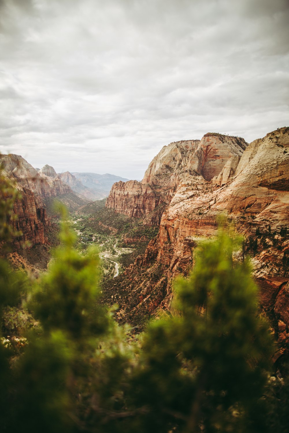 a scenic view of a valley with trees in the foreground