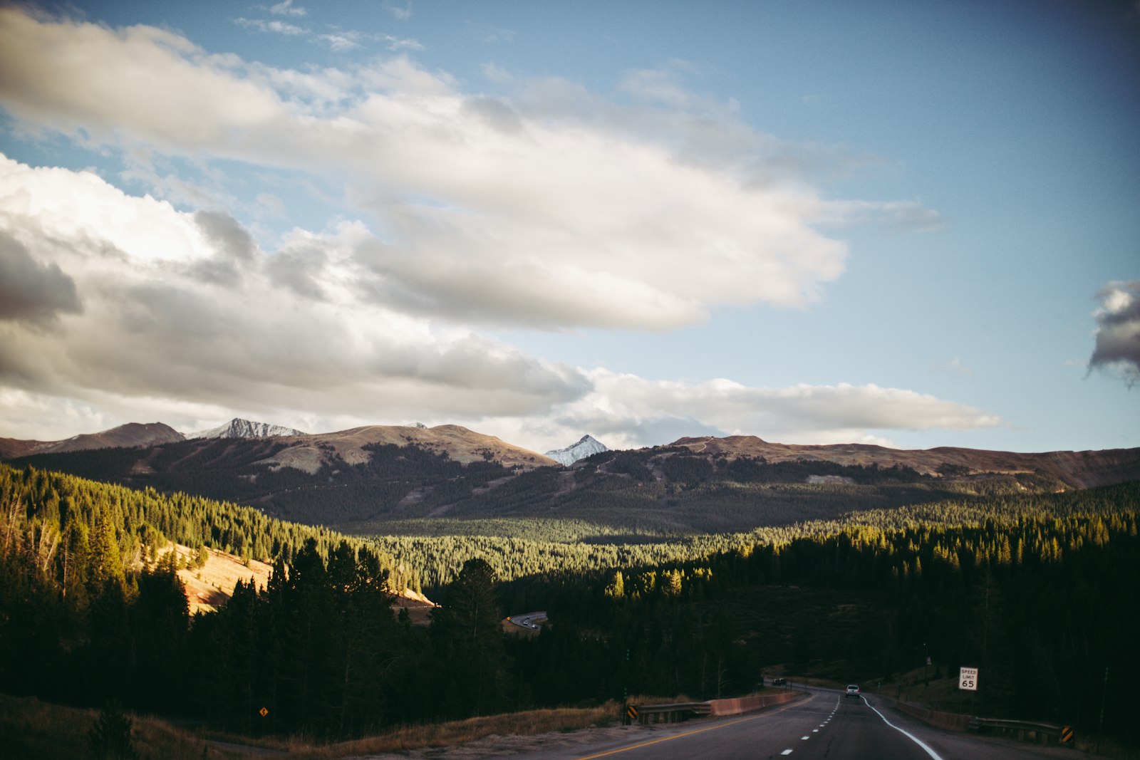 Photo by Alex Holt on Unsplash