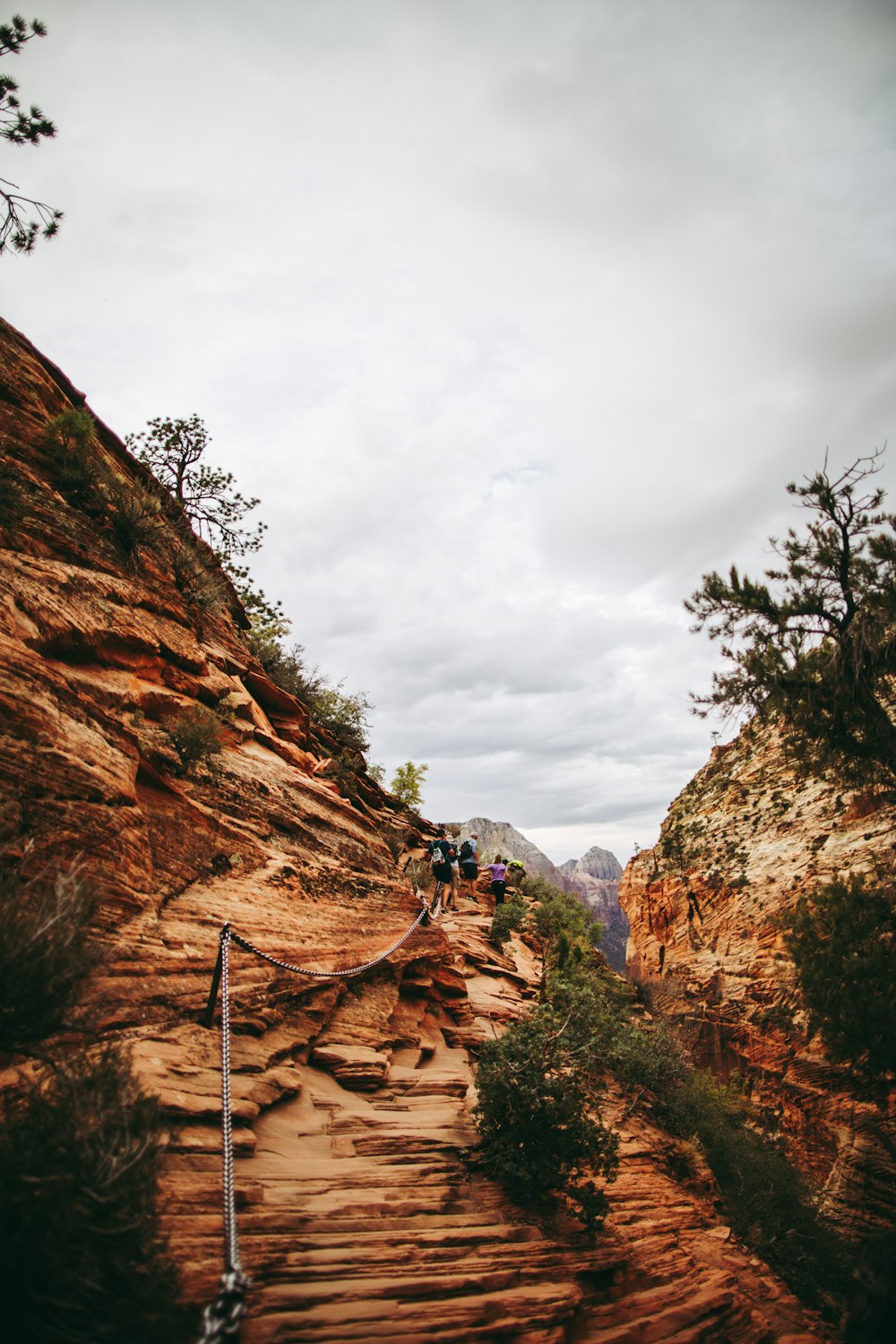 a group of people hiking up a steep mountain