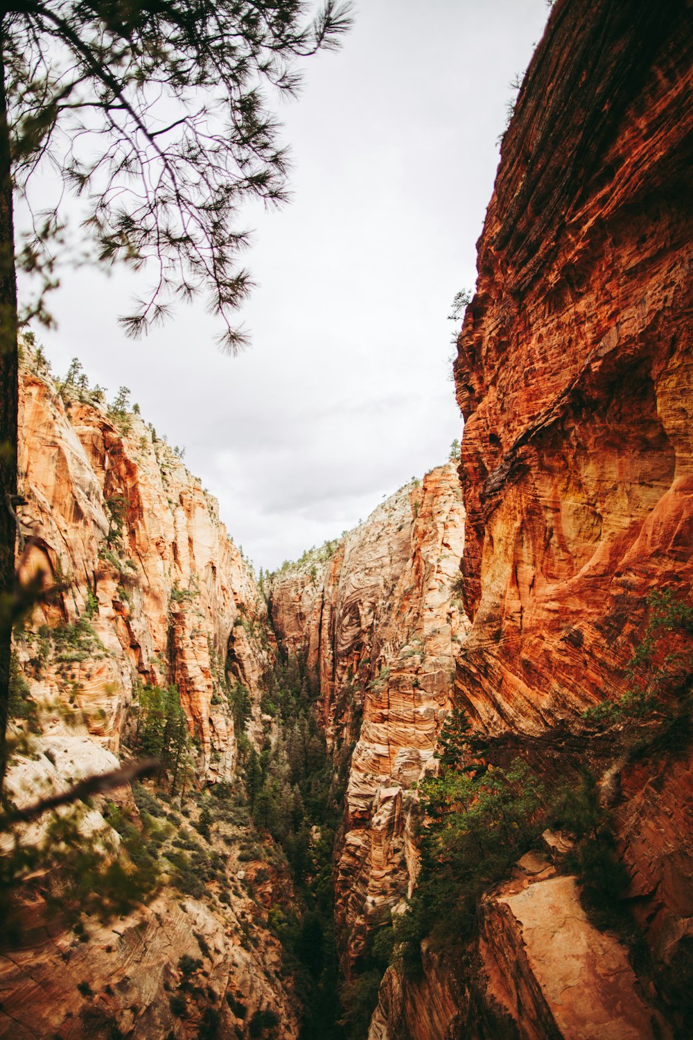 a view of a canyon from a high point of view