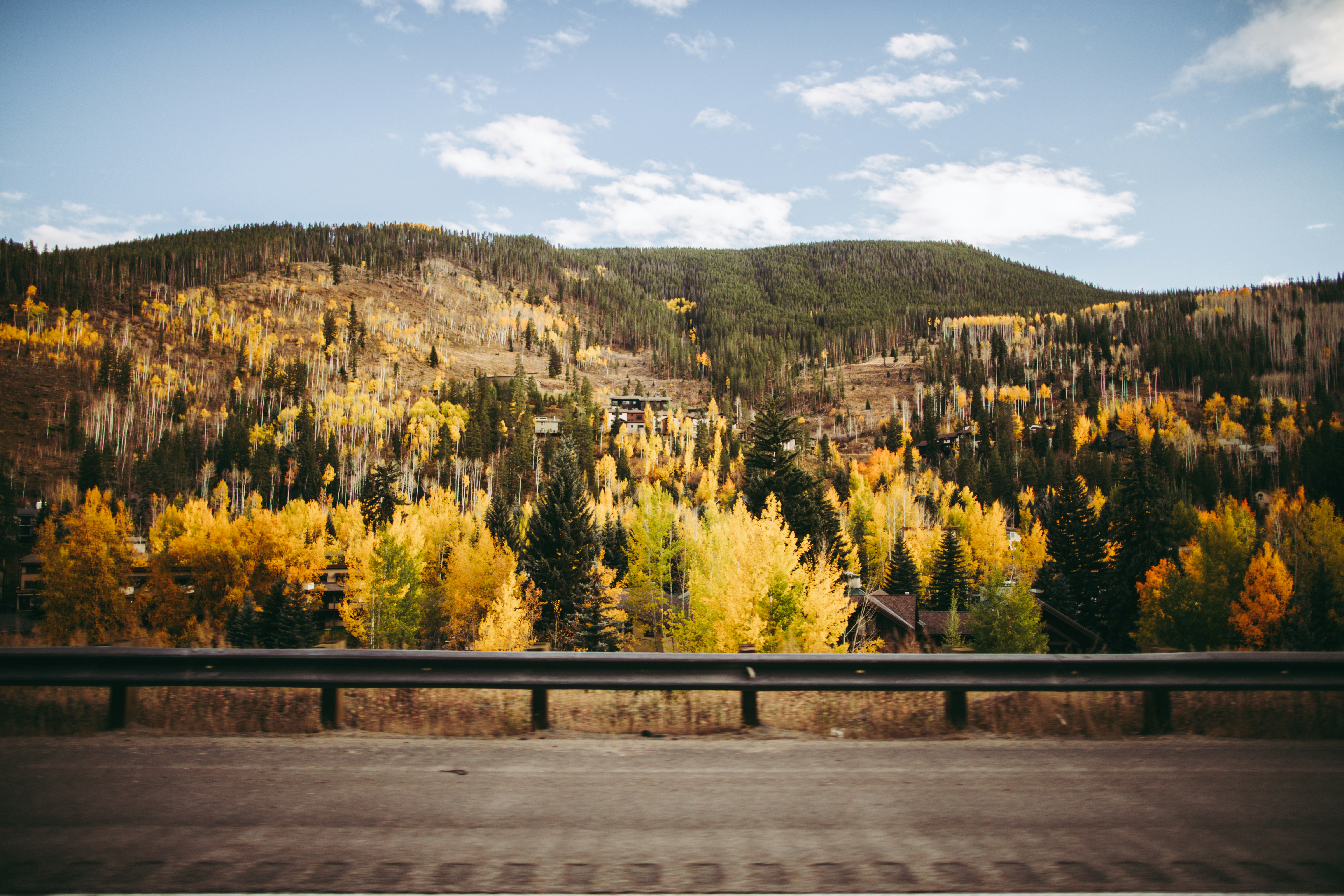 a scenic view of a mountain with trees in the foreground